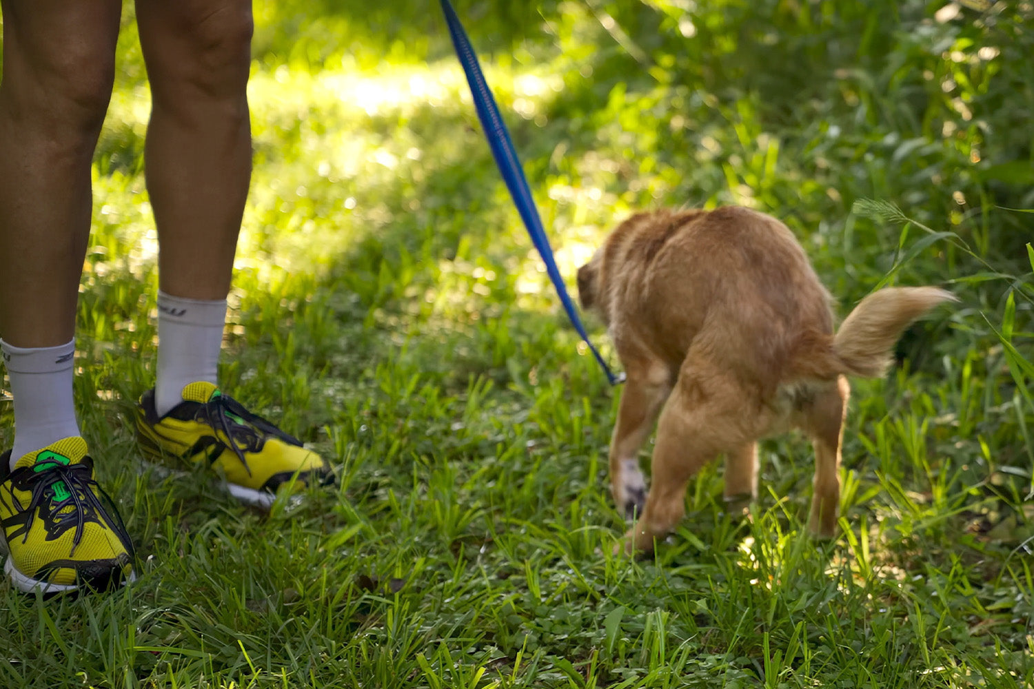 The Schittiest Interview To Date