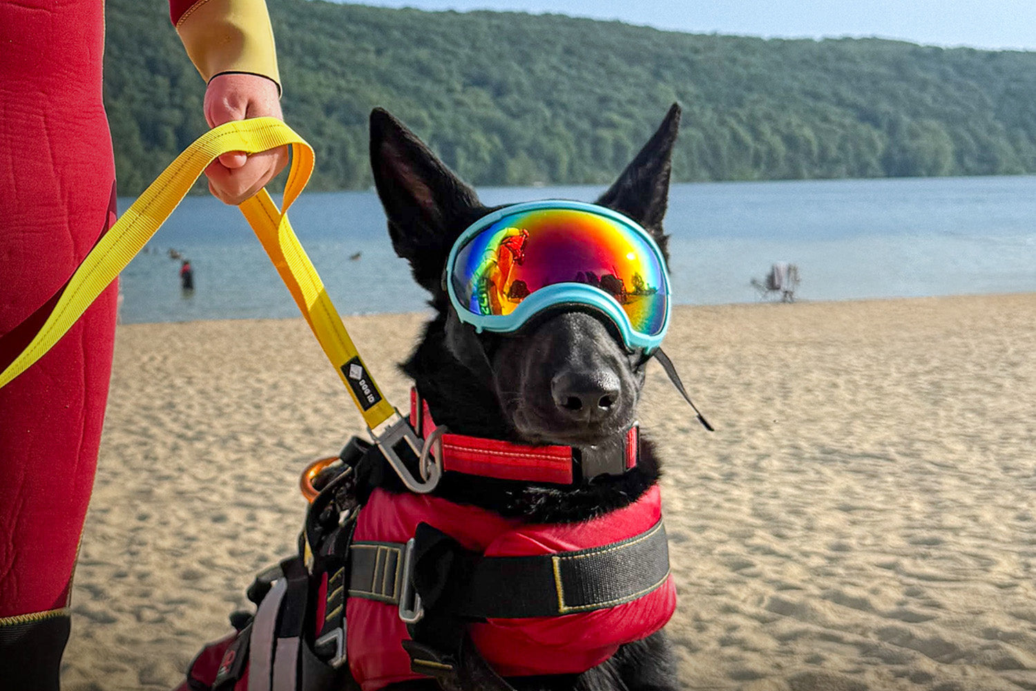 Inside the Training of the American Academy of Canine Water Rescue