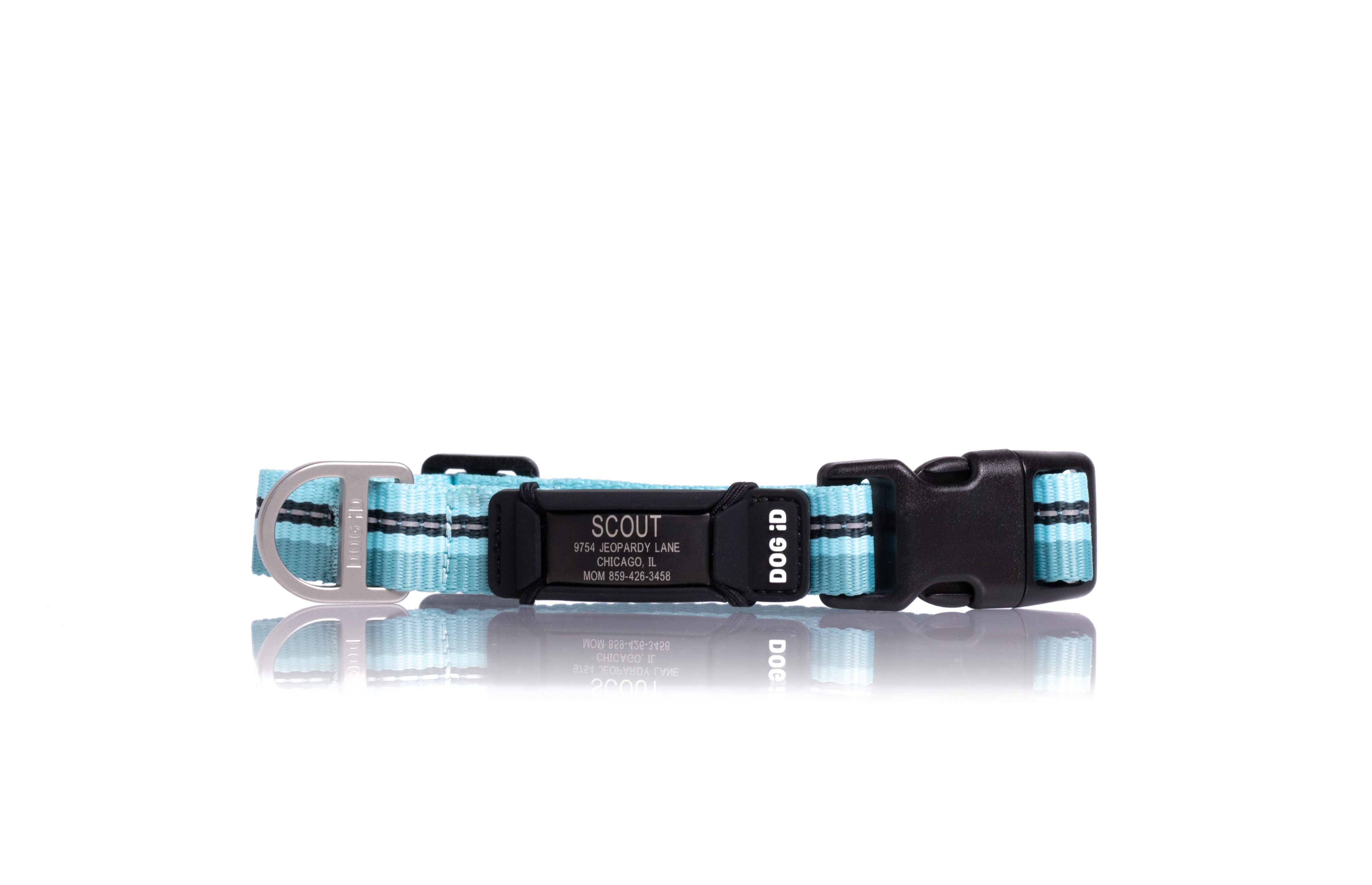 Limited Edition Rock Solid Collar ID 1 ID Small Graphite Pacific Coast