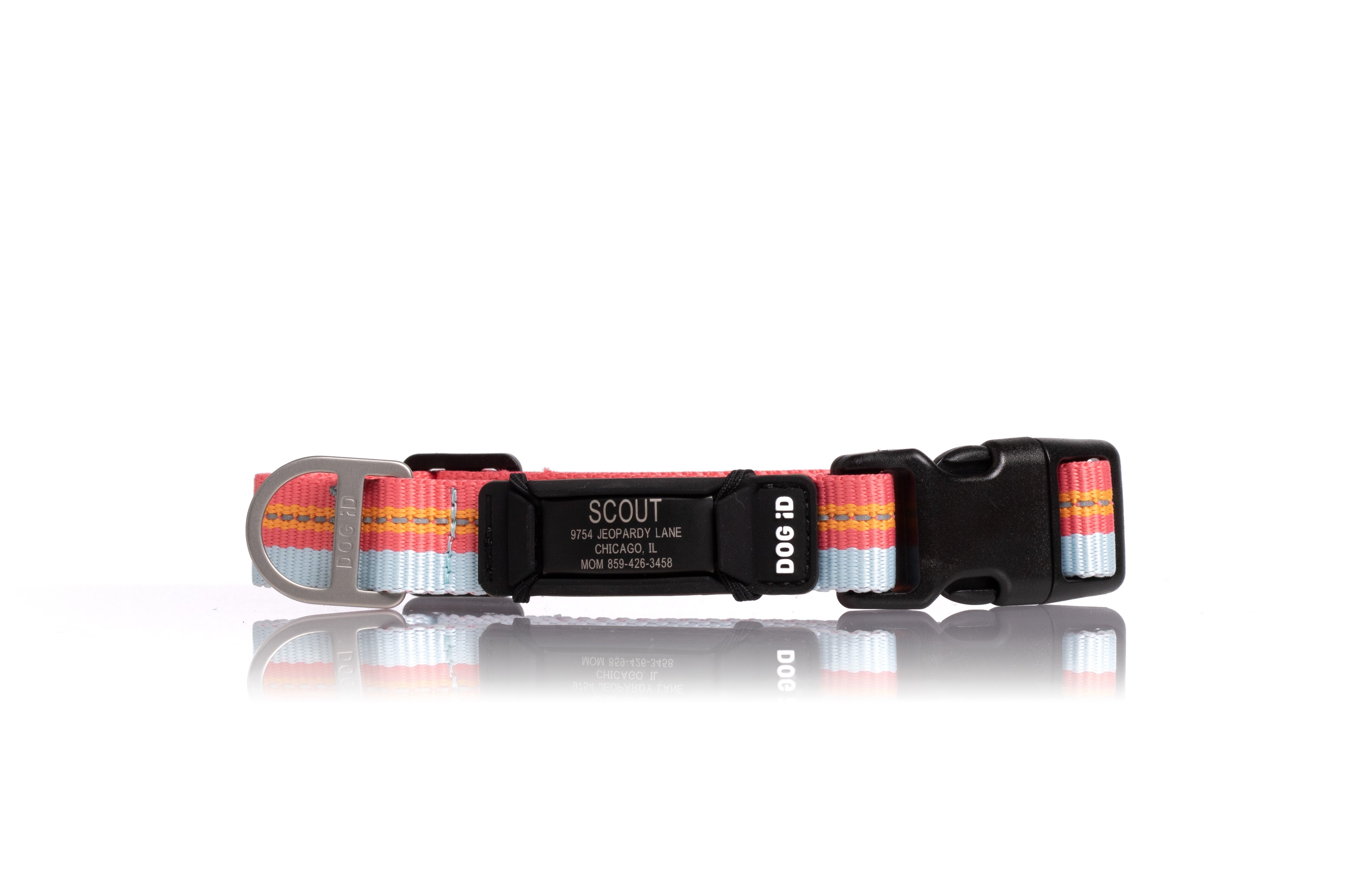 Limited Edition Rock Solid Collar ID 1 ID Small Graphite Santa Monica