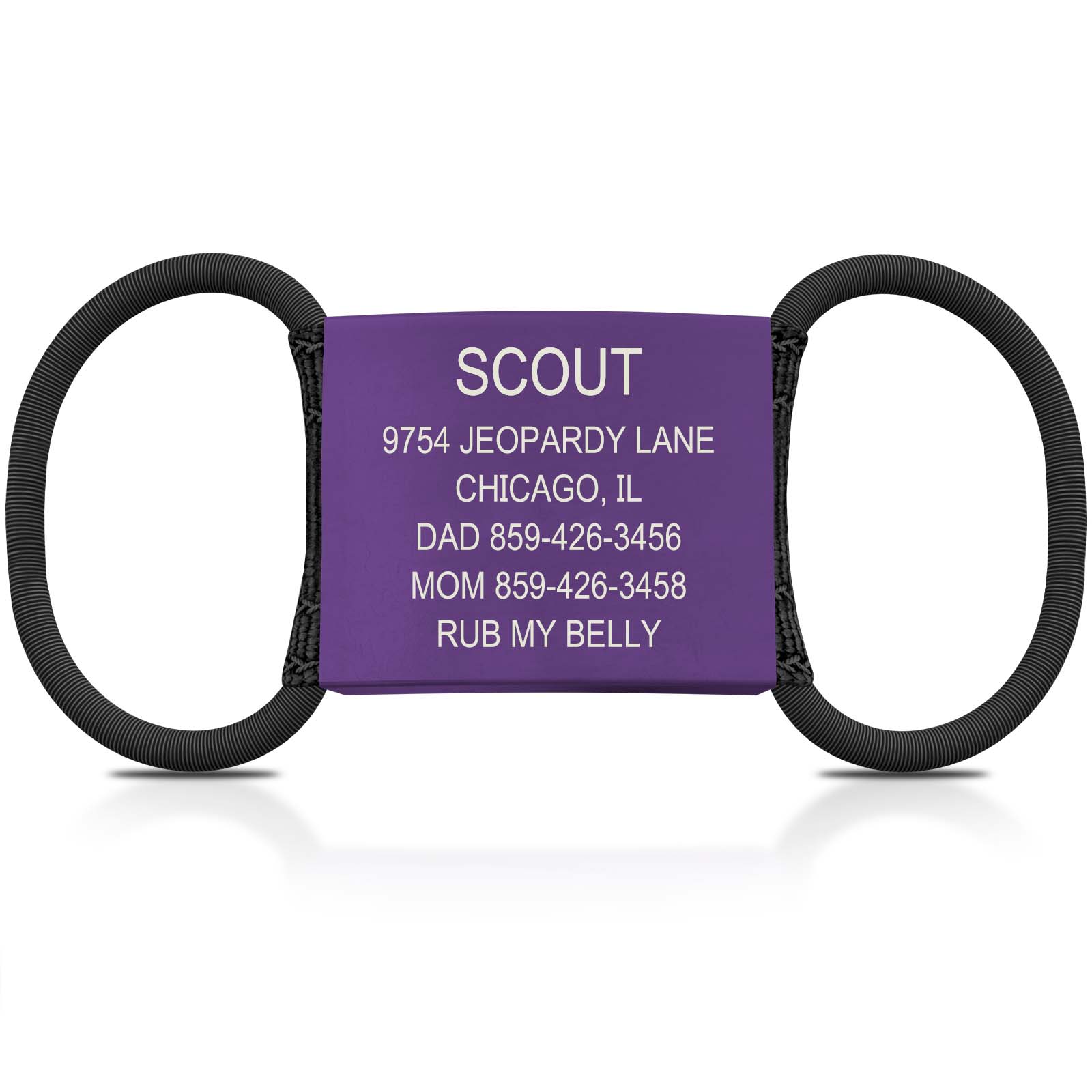 Replacement Dog ID 1 ID Amethyst X-Large