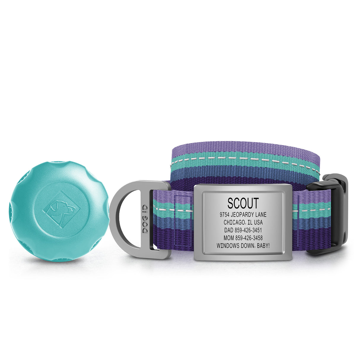 AirTag Holder + Collar + ID