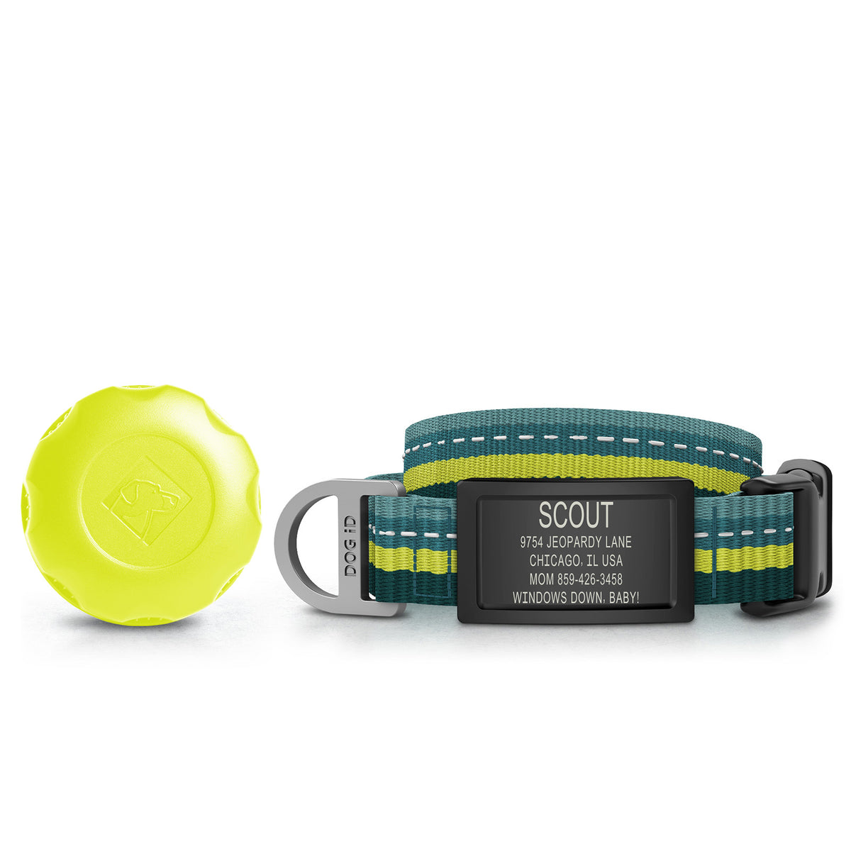 AirTag Holder + Collar + ID