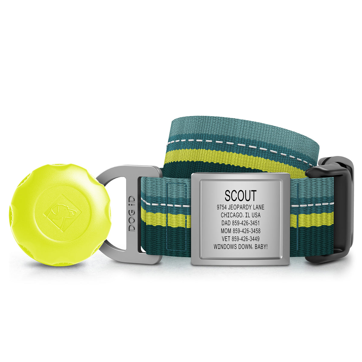 AirTag Holder + Collar + ID