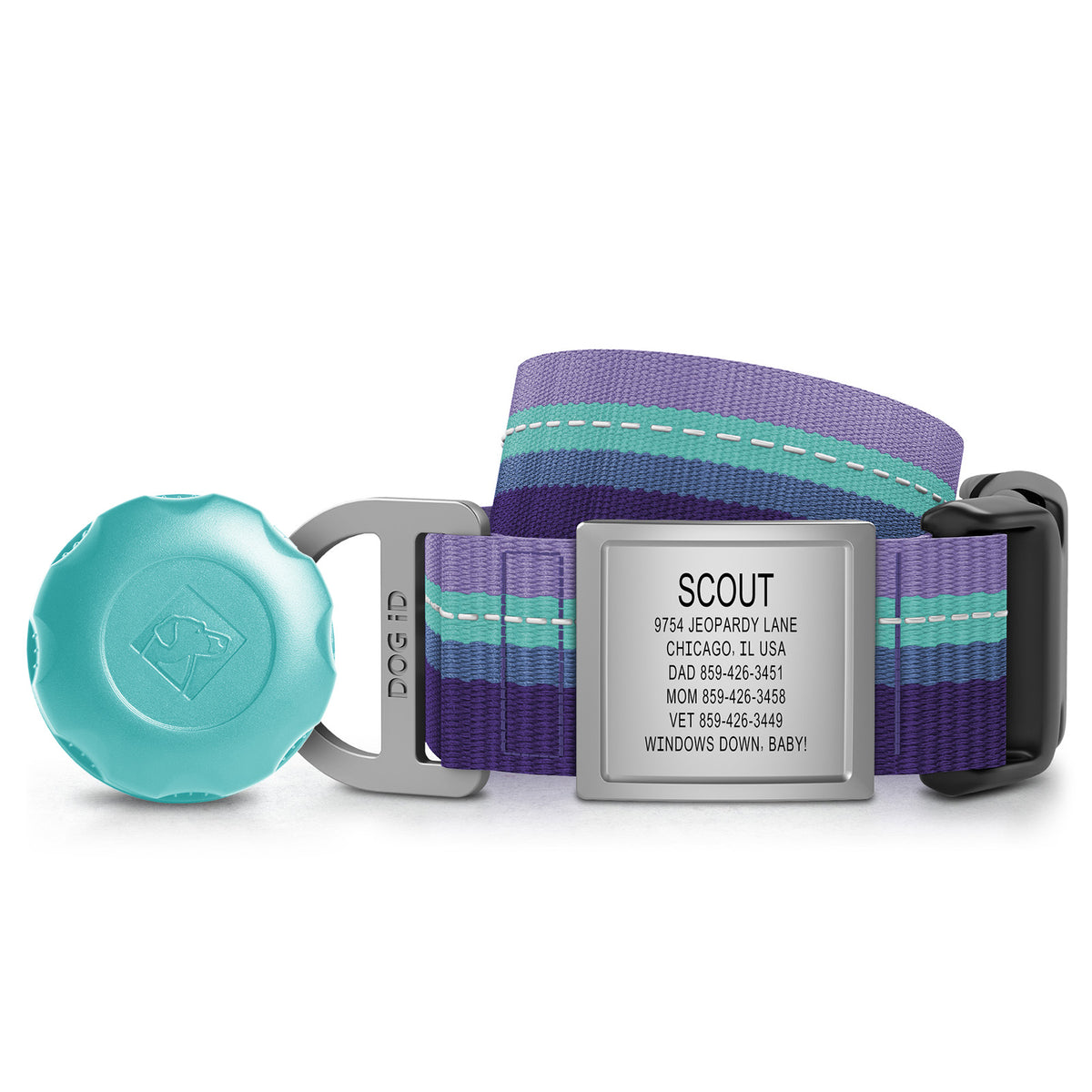 AirTag Holder + Collar + ID