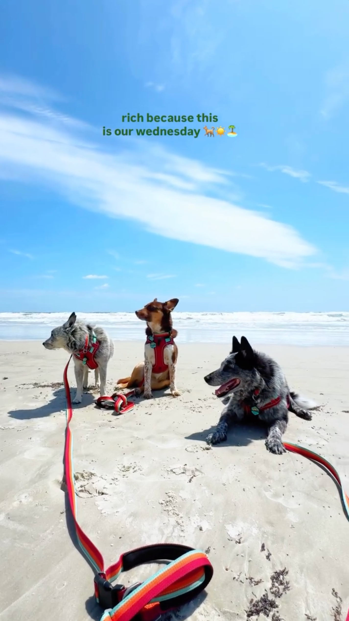 Wednesday at the beach.