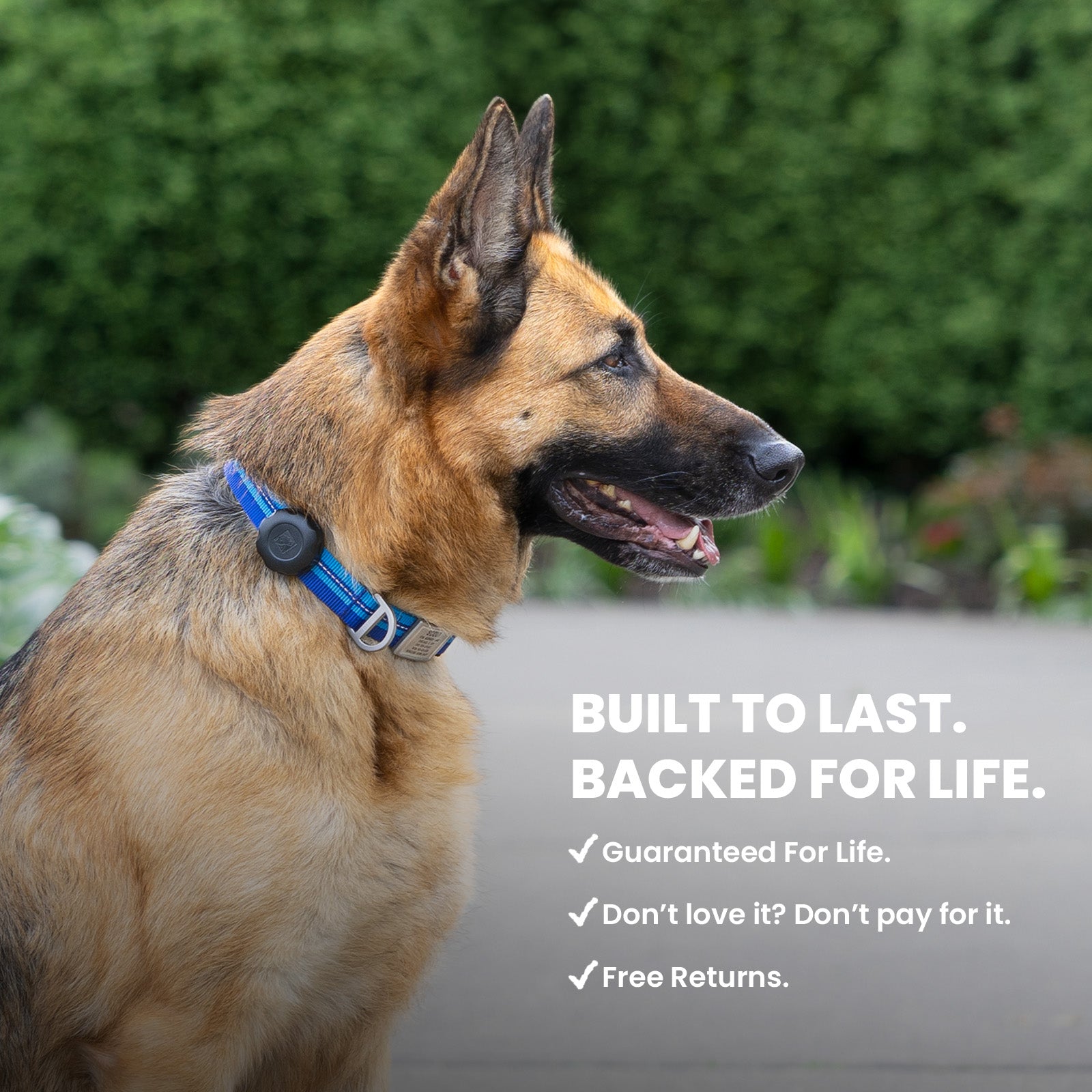 AirTag Holder + Collar + ID ID