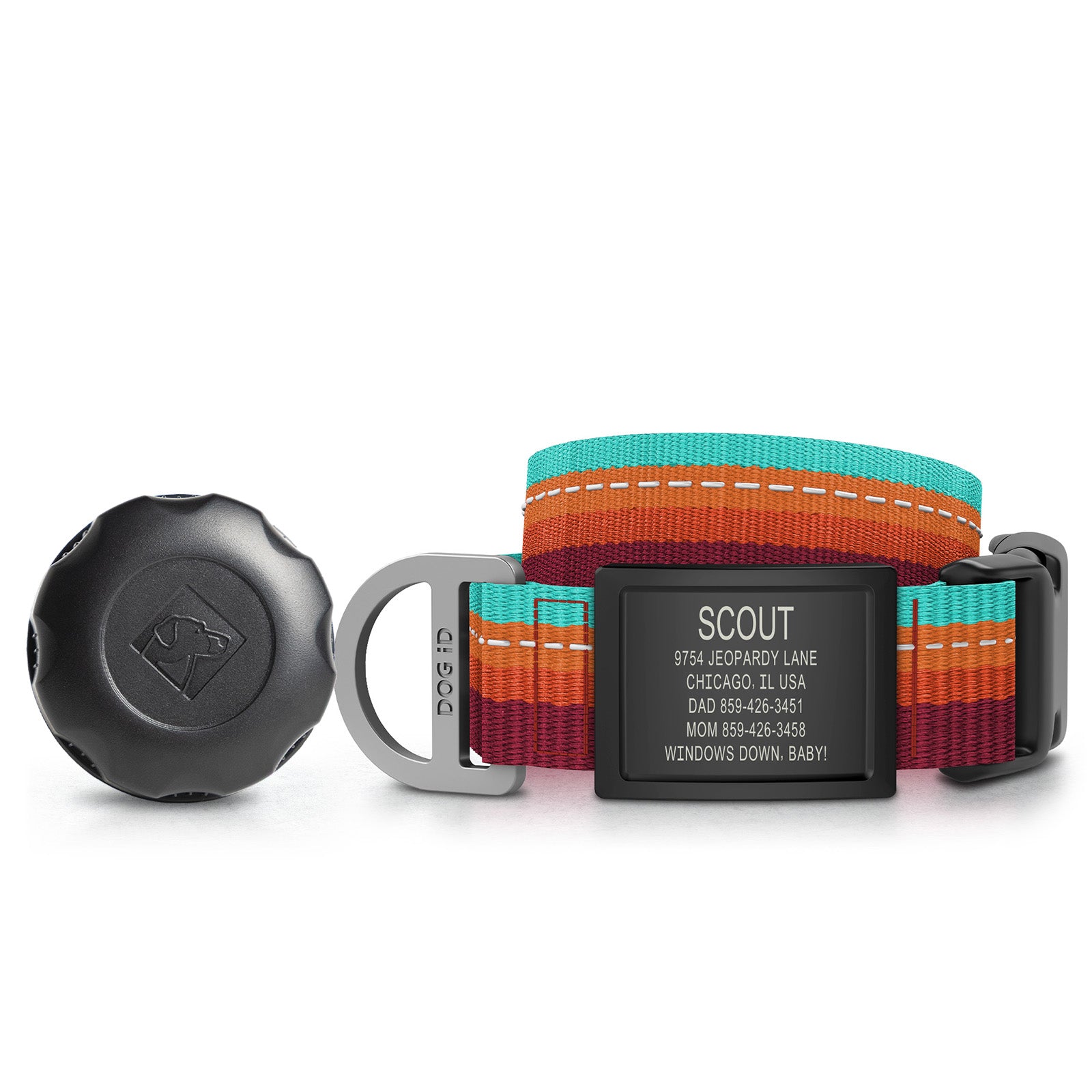 AirTag Holder + Collar + ID