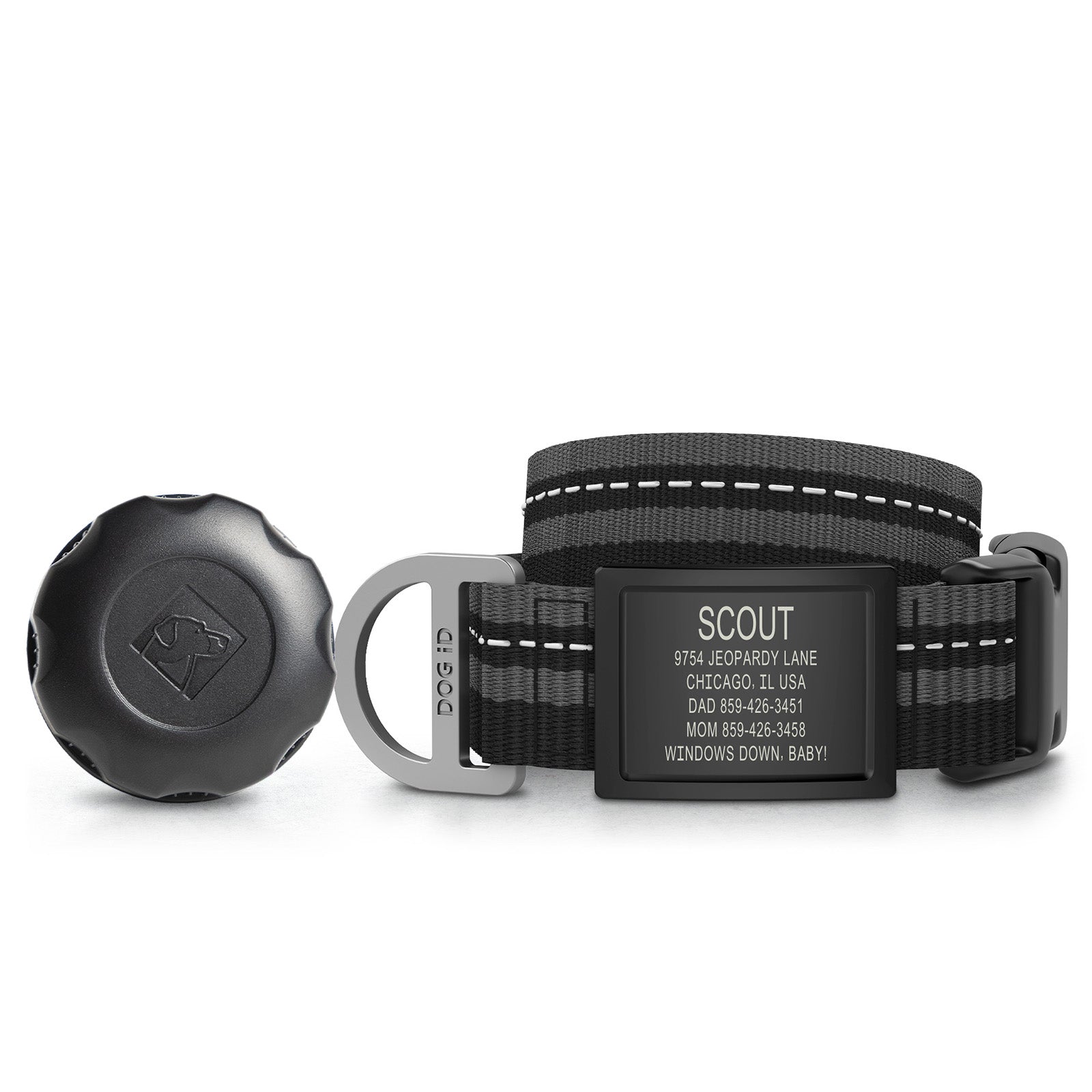 AirTag Holder + Collar + ID