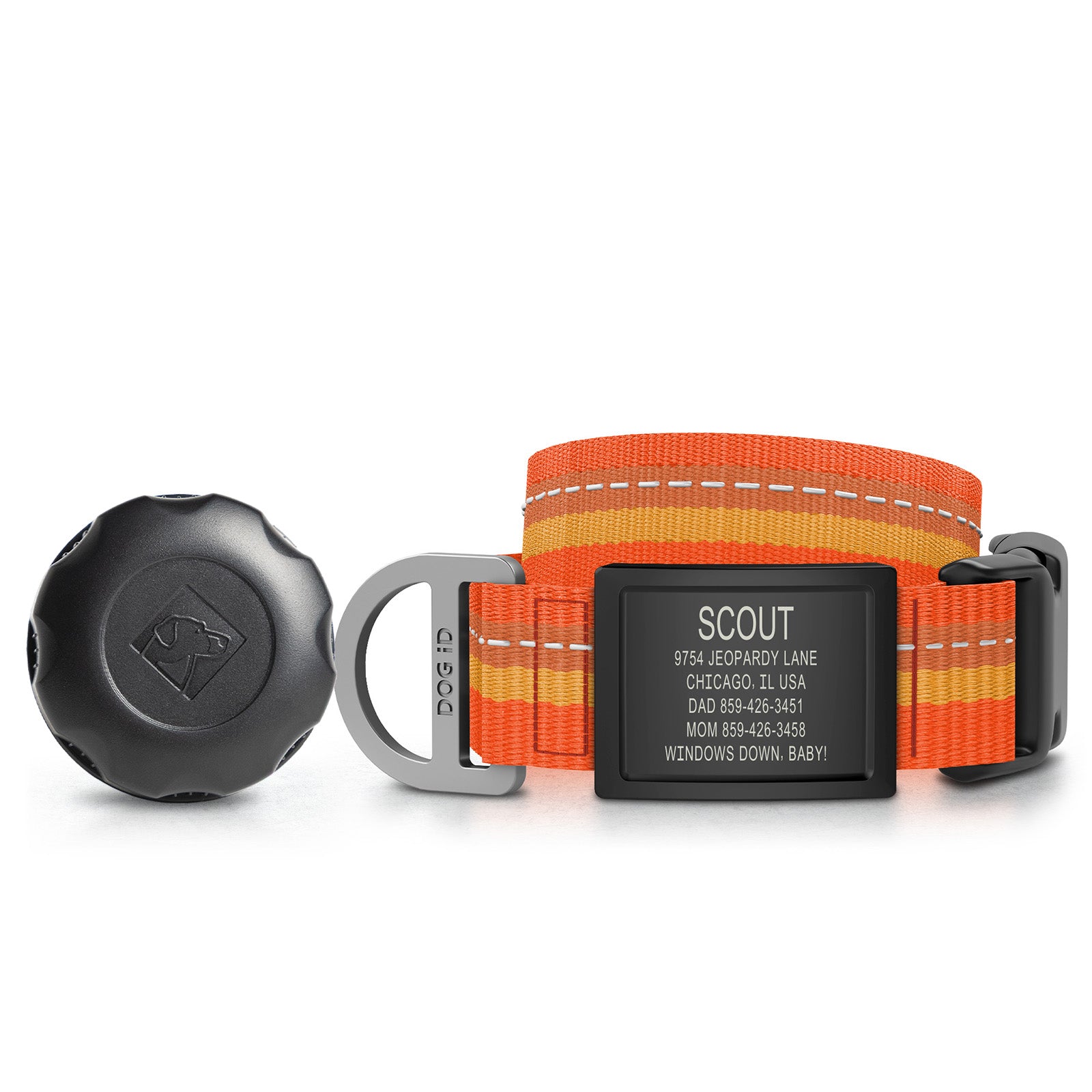 AirTag Holder + Collar + ID