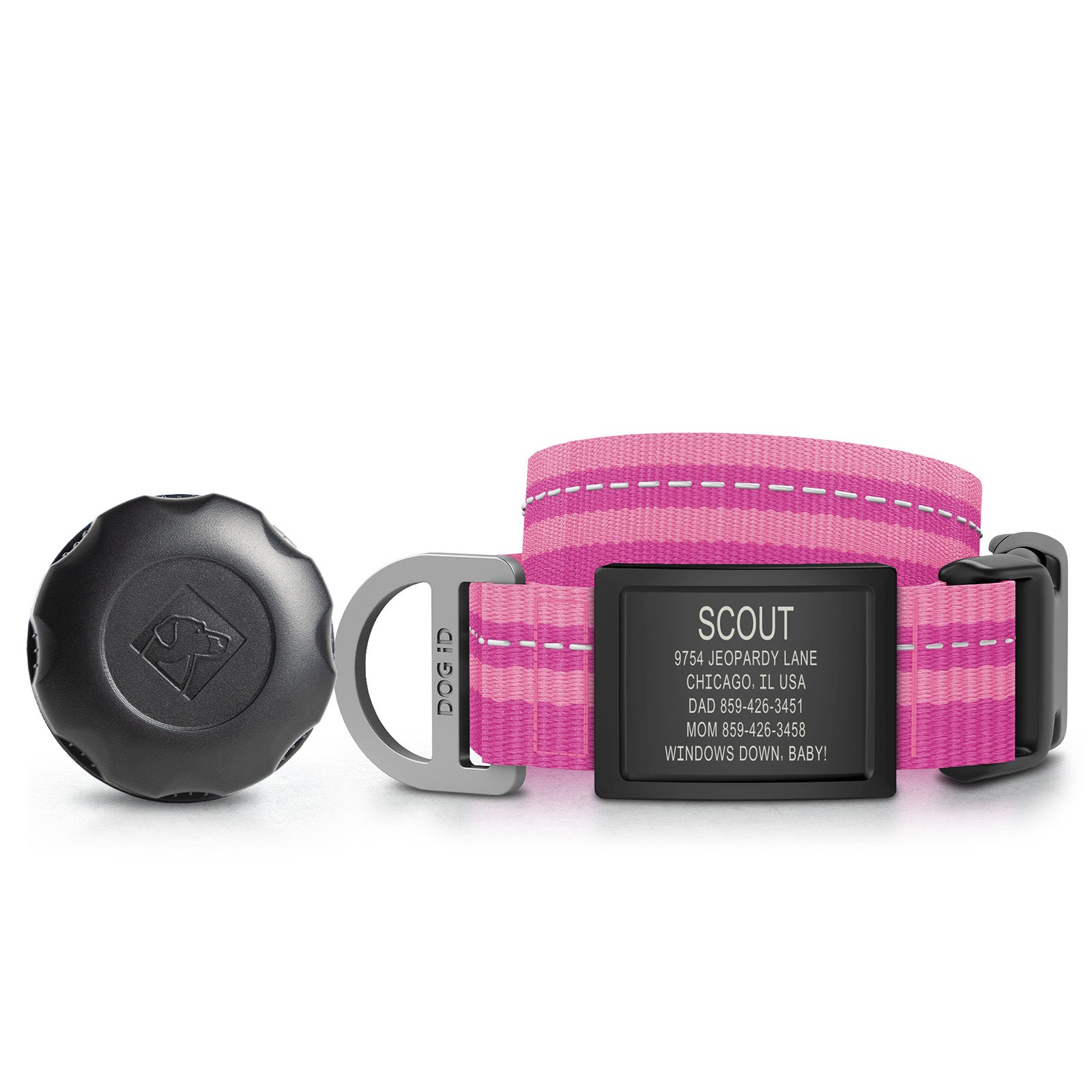 AirTag Holder + Collar + ID