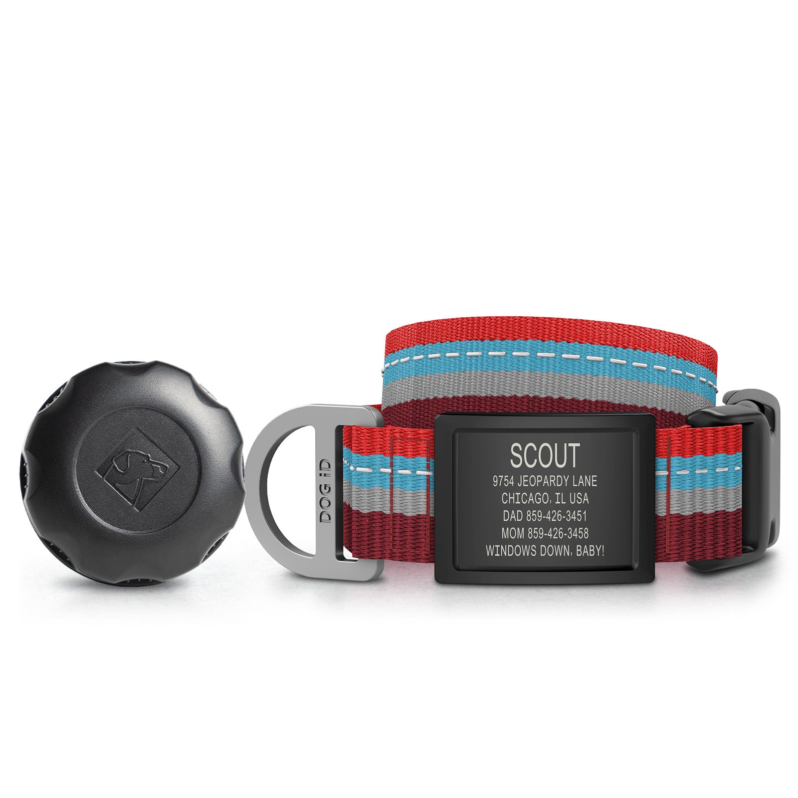 AirTag Holder + Collar + ID