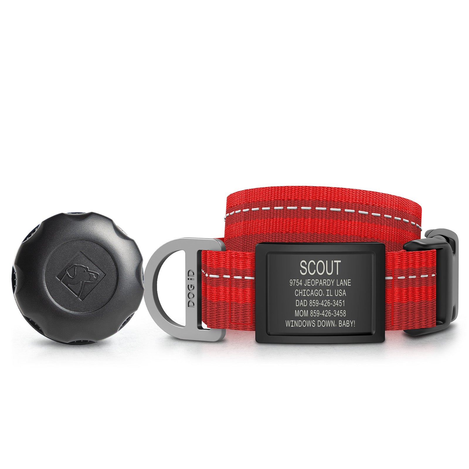 AirTag Holder + Collar + ID