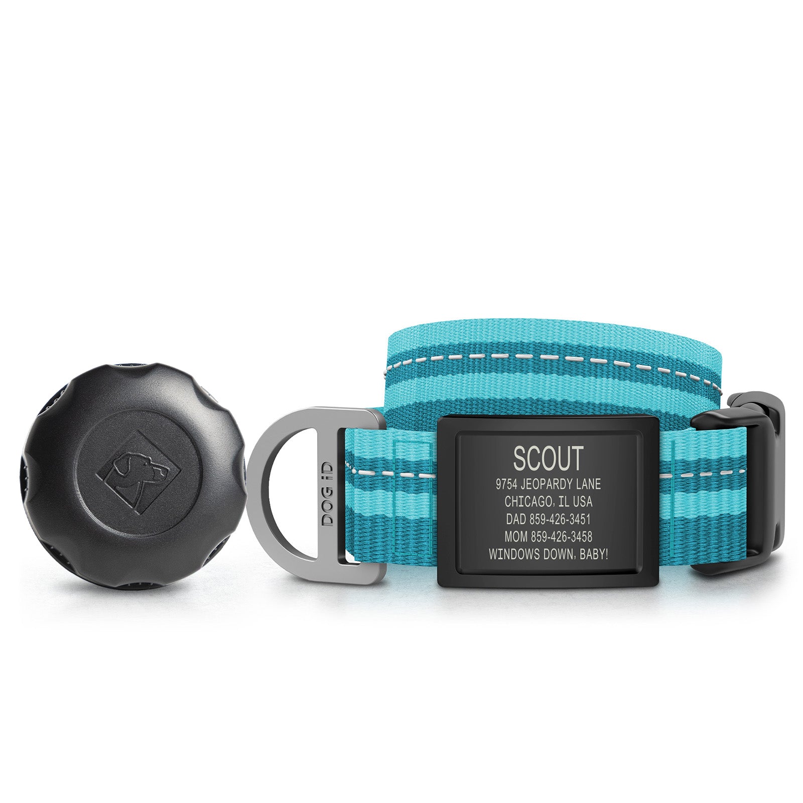 AirTag Holder + Collar + ID