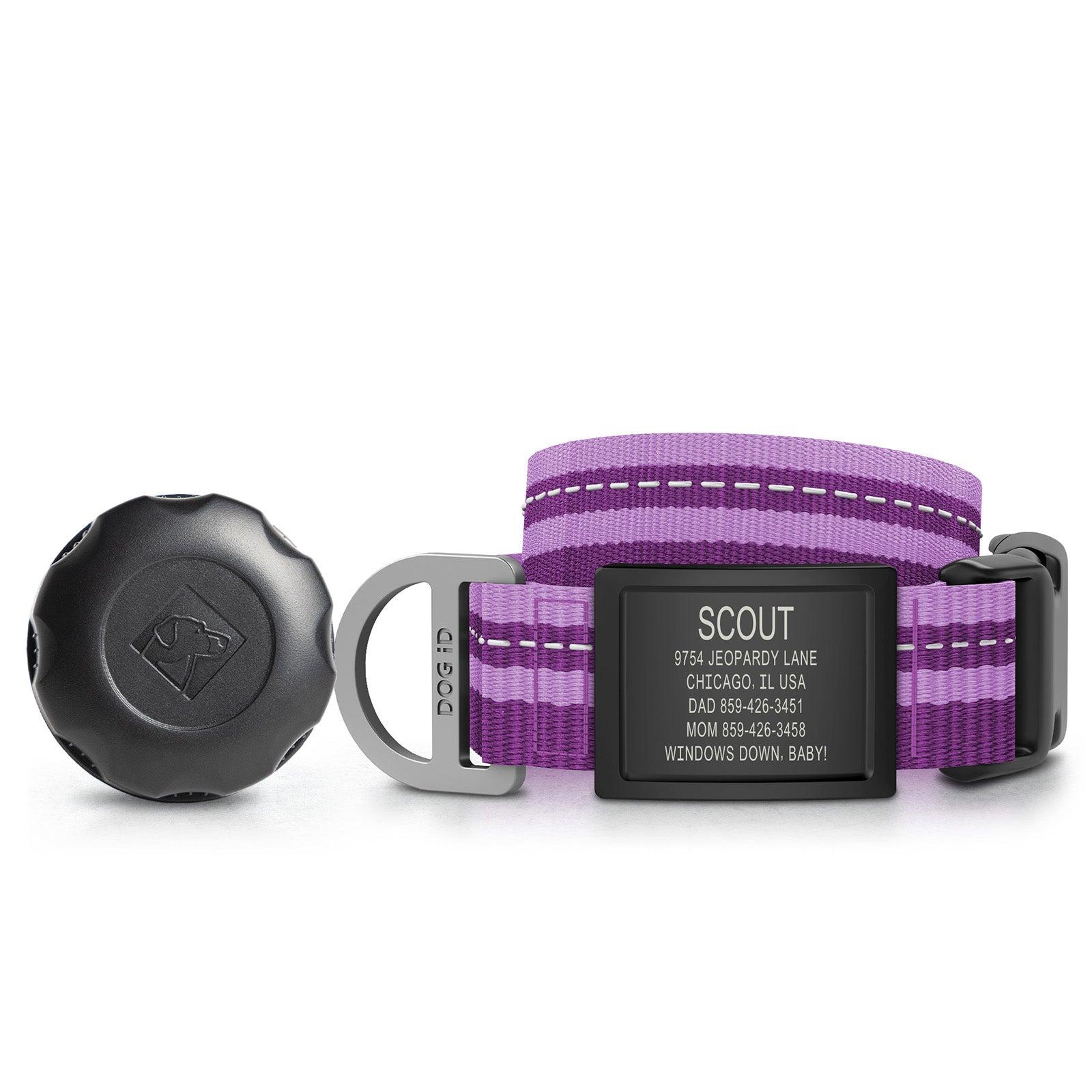 AirTag Holder + Collar + ID