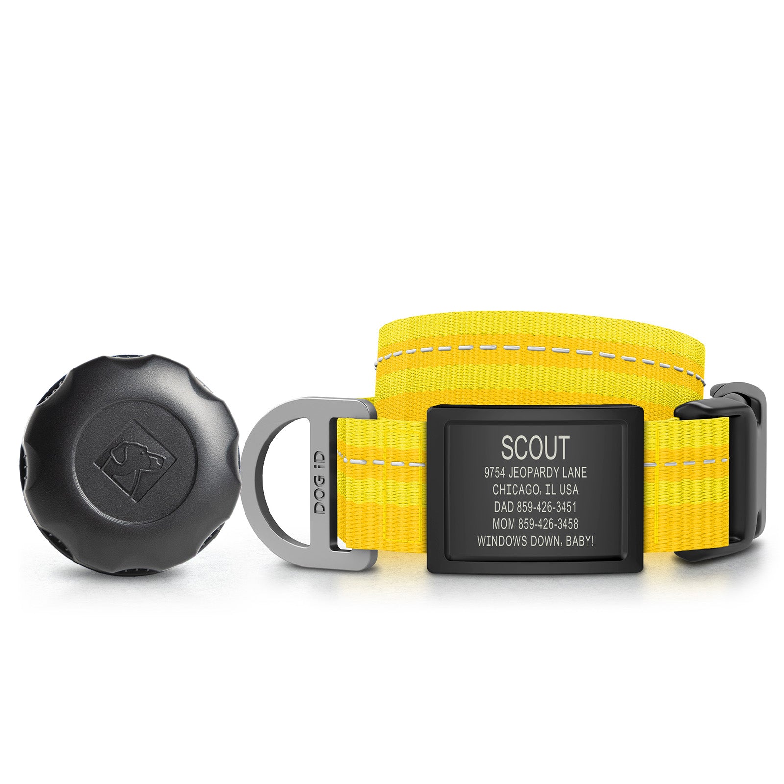AirTag Holder + Collar + ID
