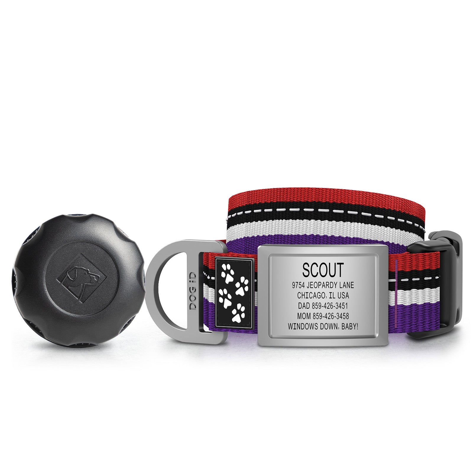 AirTag Holder + Collar + ID