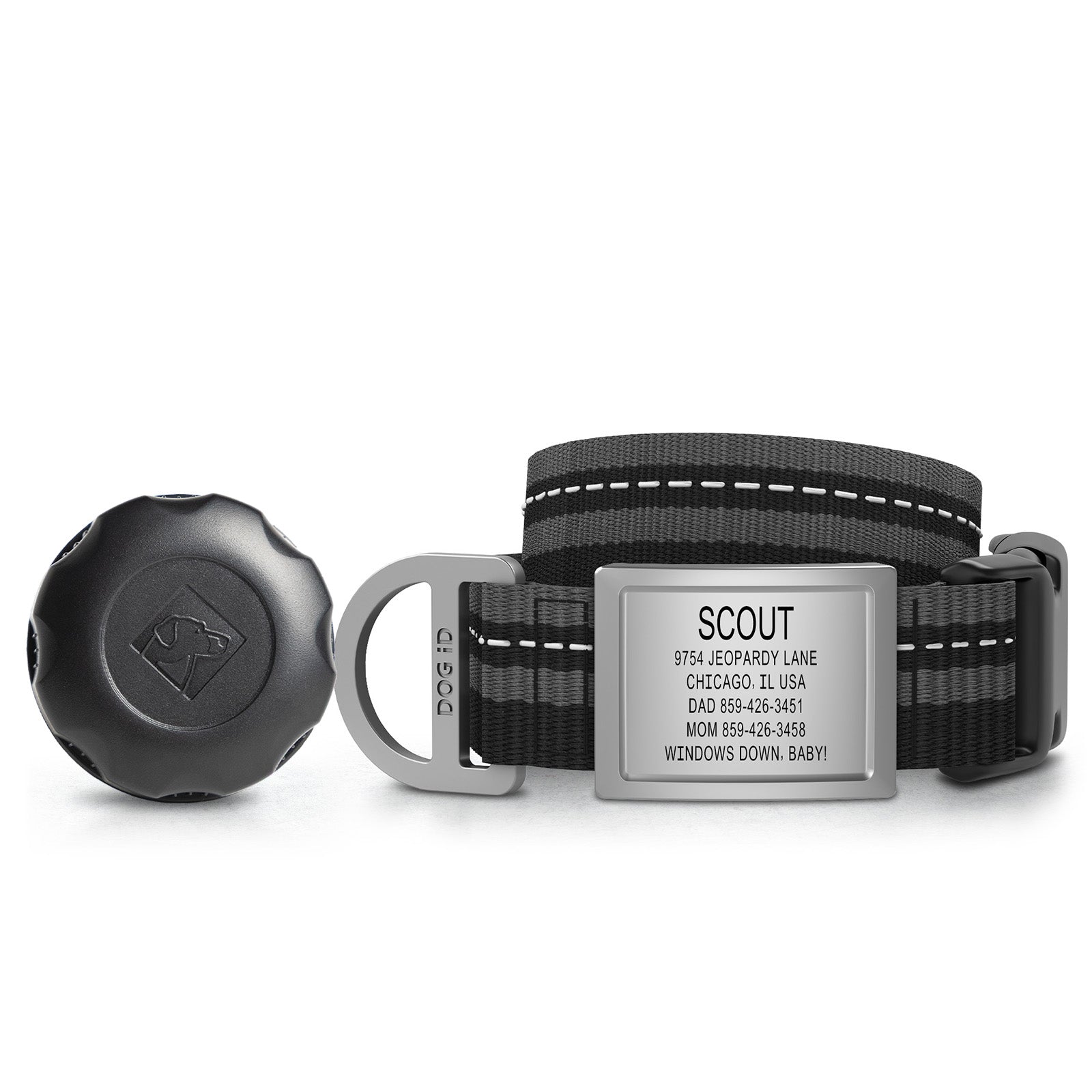 AirTag Holder + Collar + ID