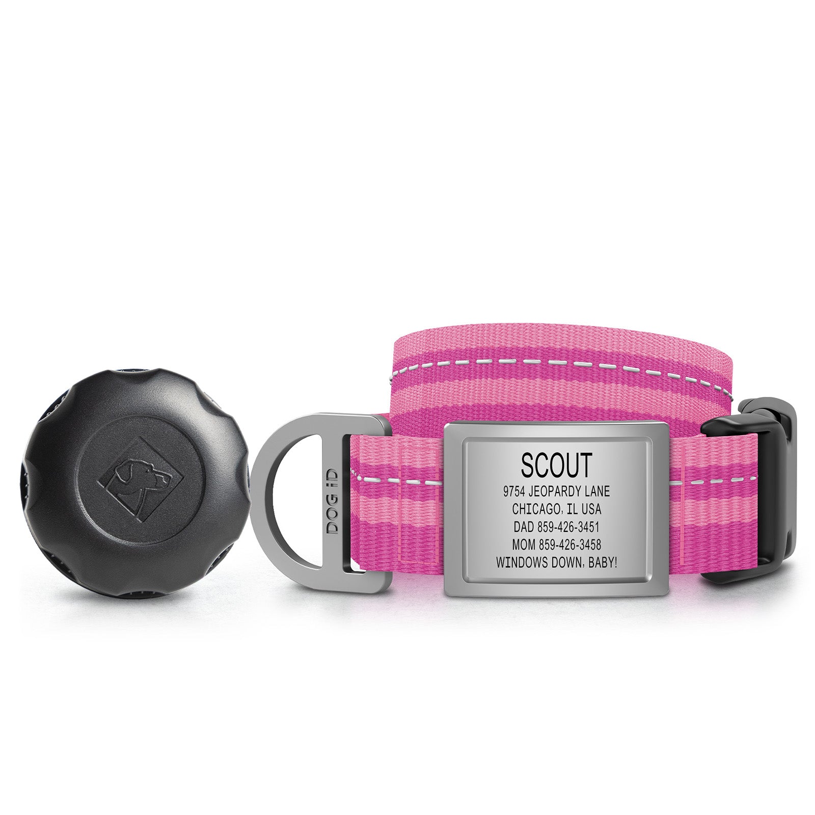 AirTag Holder + Collar + ID