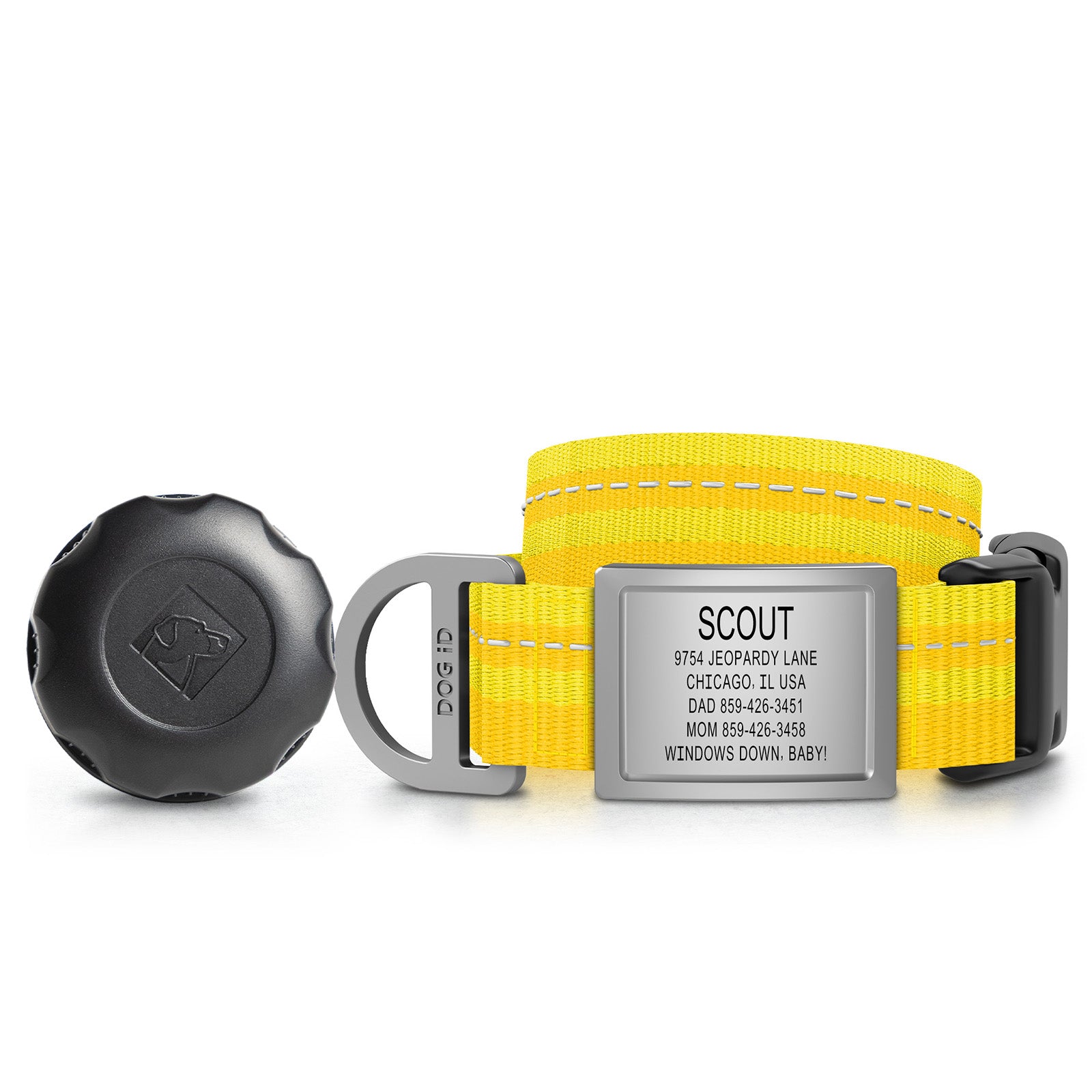 AirTag Holder + Collar + ID
