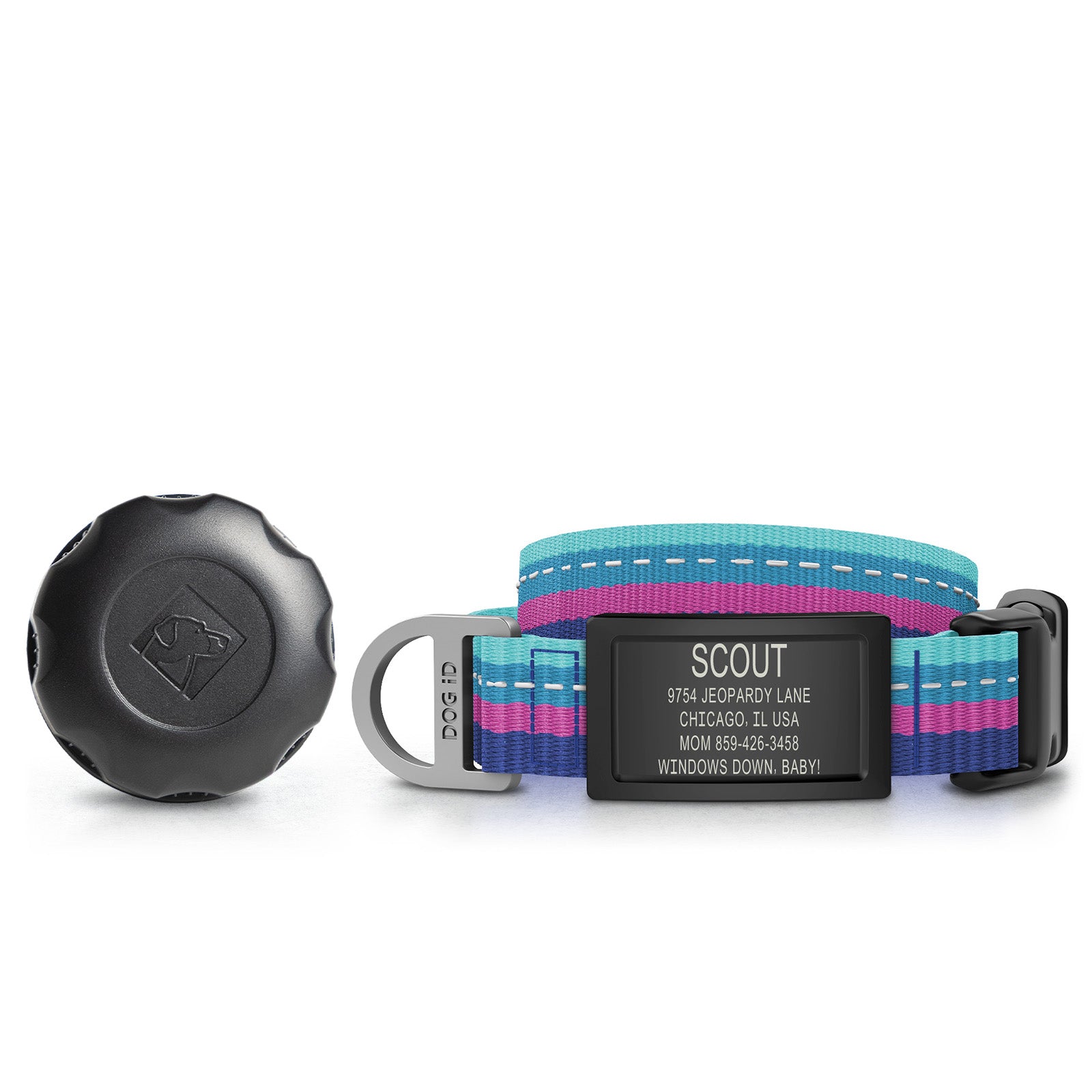 AirTag Holder + Collar + ID