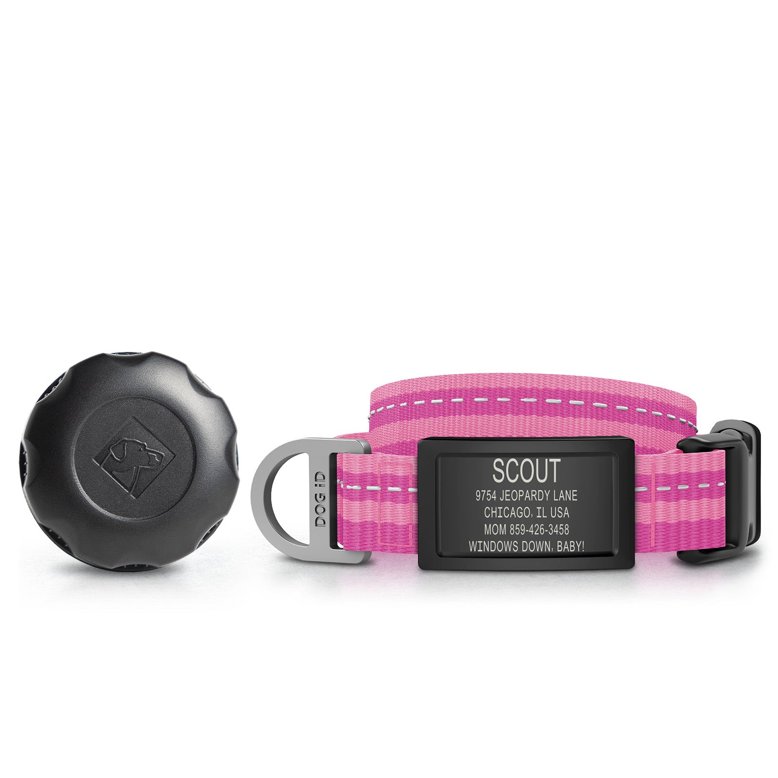 AirTag Holder + Collar + ID ID
