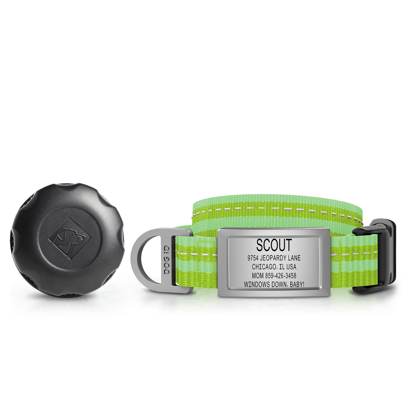 AirTag Holder + Collar + ID