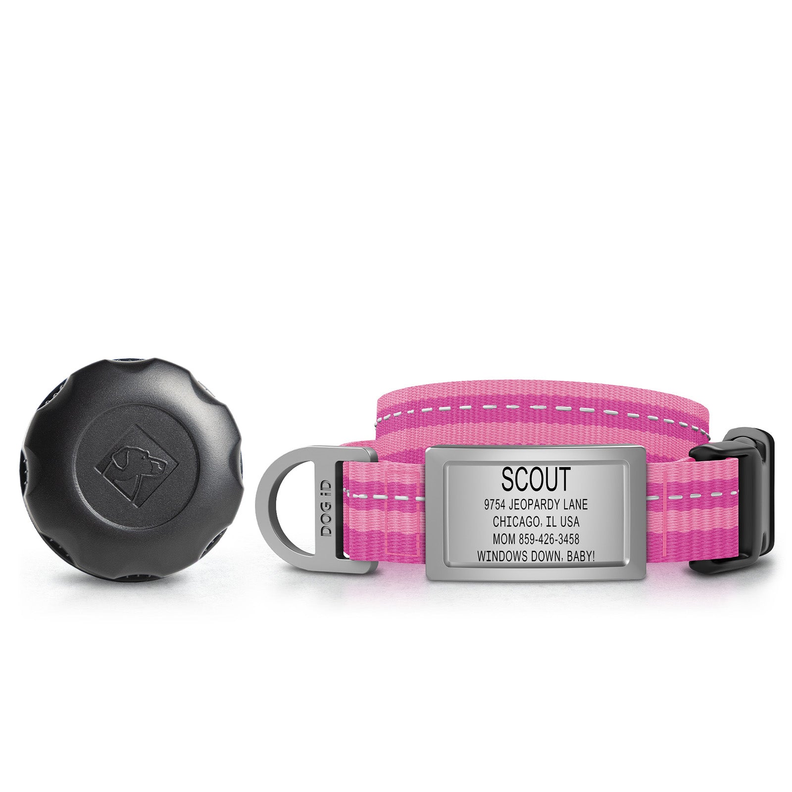 AirTag Holder + Collar + ID