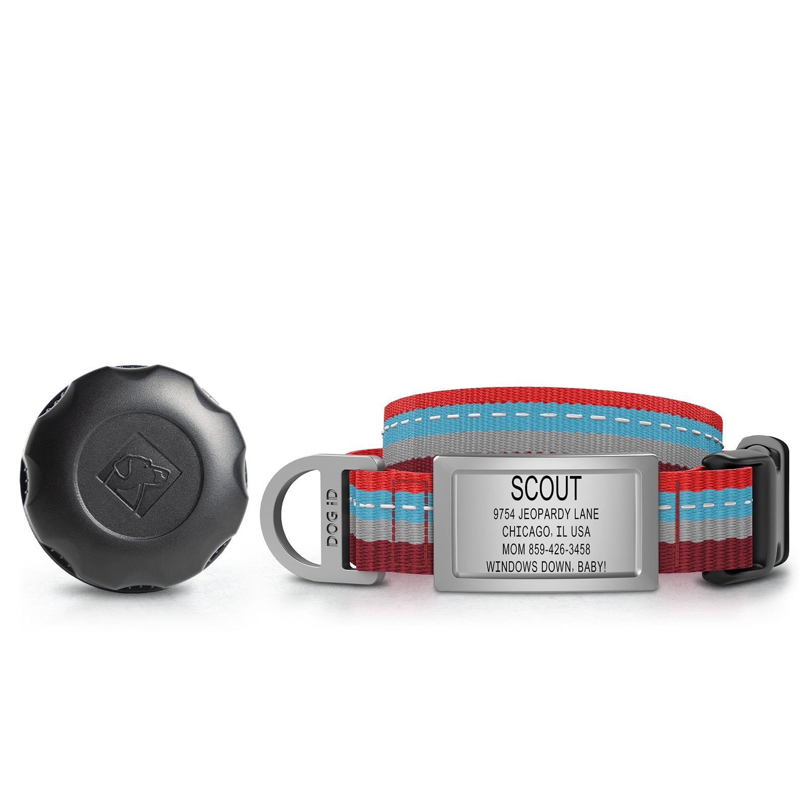 AirTag Holder + Collar + ID