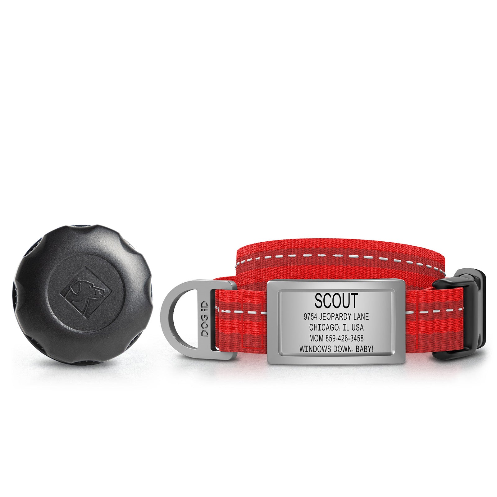 AirTag Holder + Collar + ID