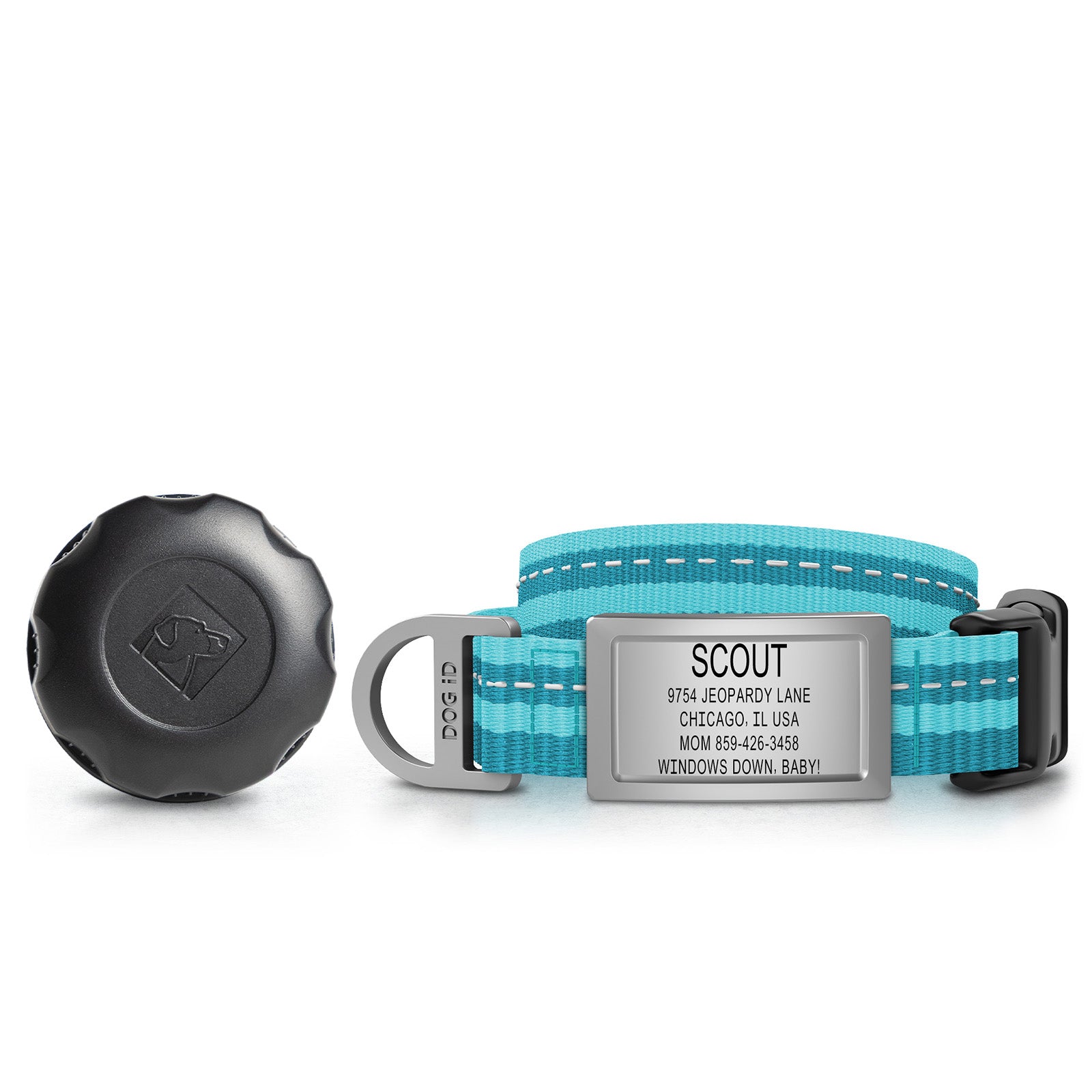 AirTag Holder + Collar + ID