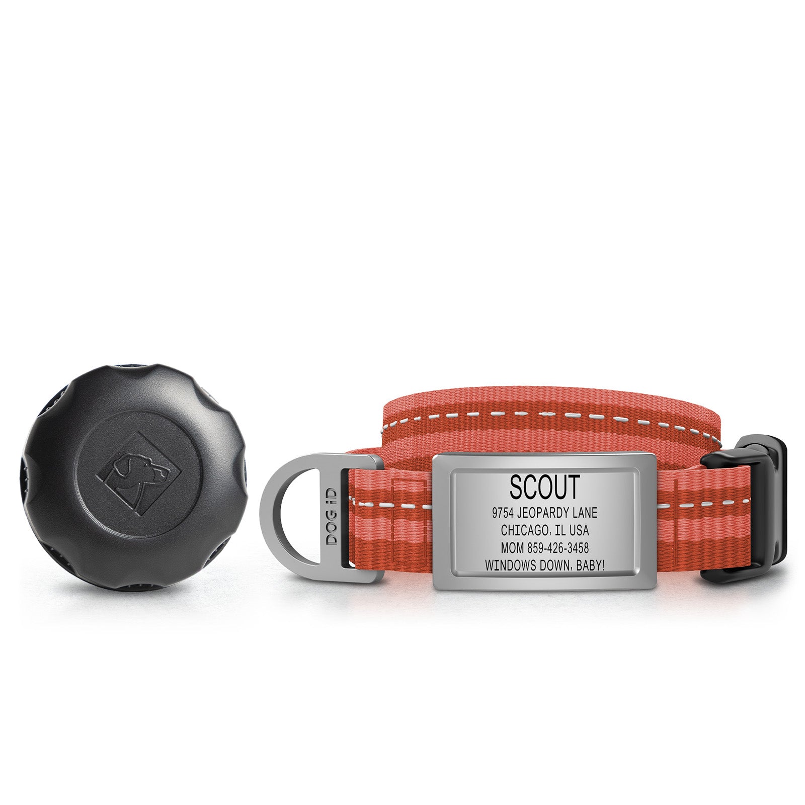 AirTag Holder + Collar + ID