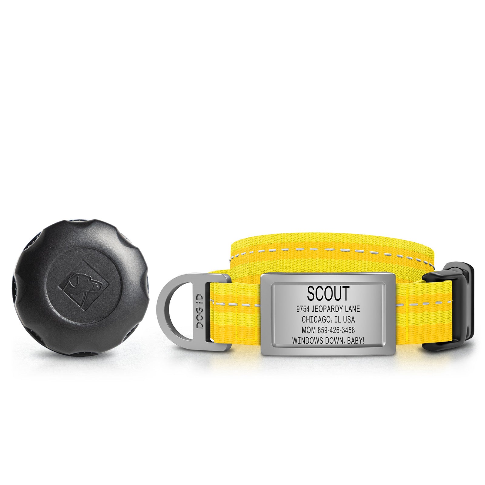 AirTag Holder + Collar + ID
