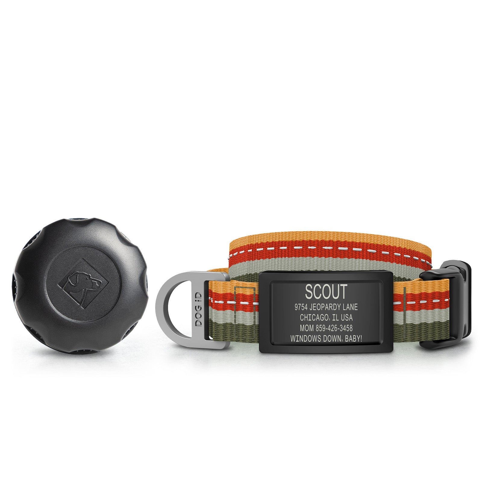 AirTag Holder + Collar + ID