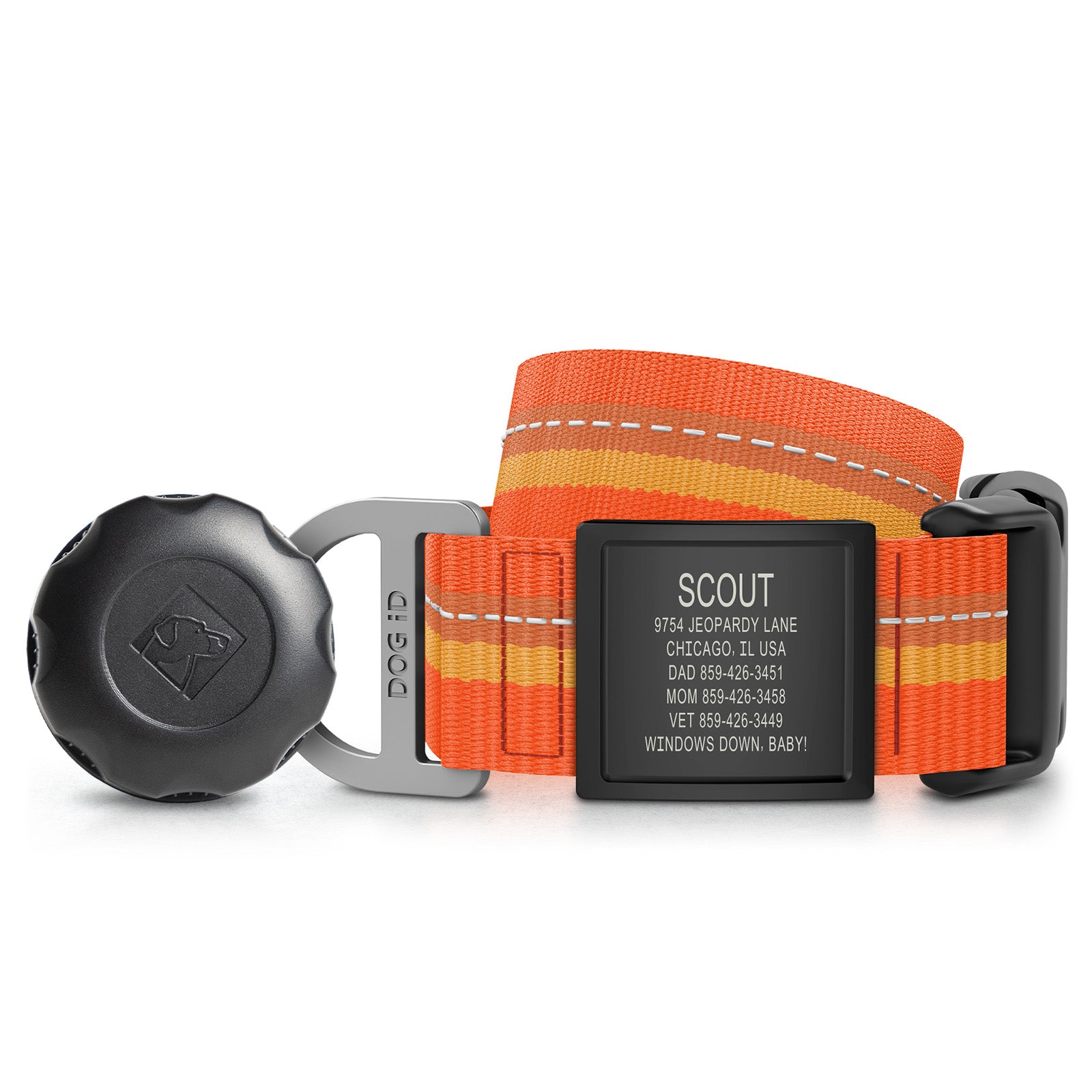 AirTag Holder + Collar + ID