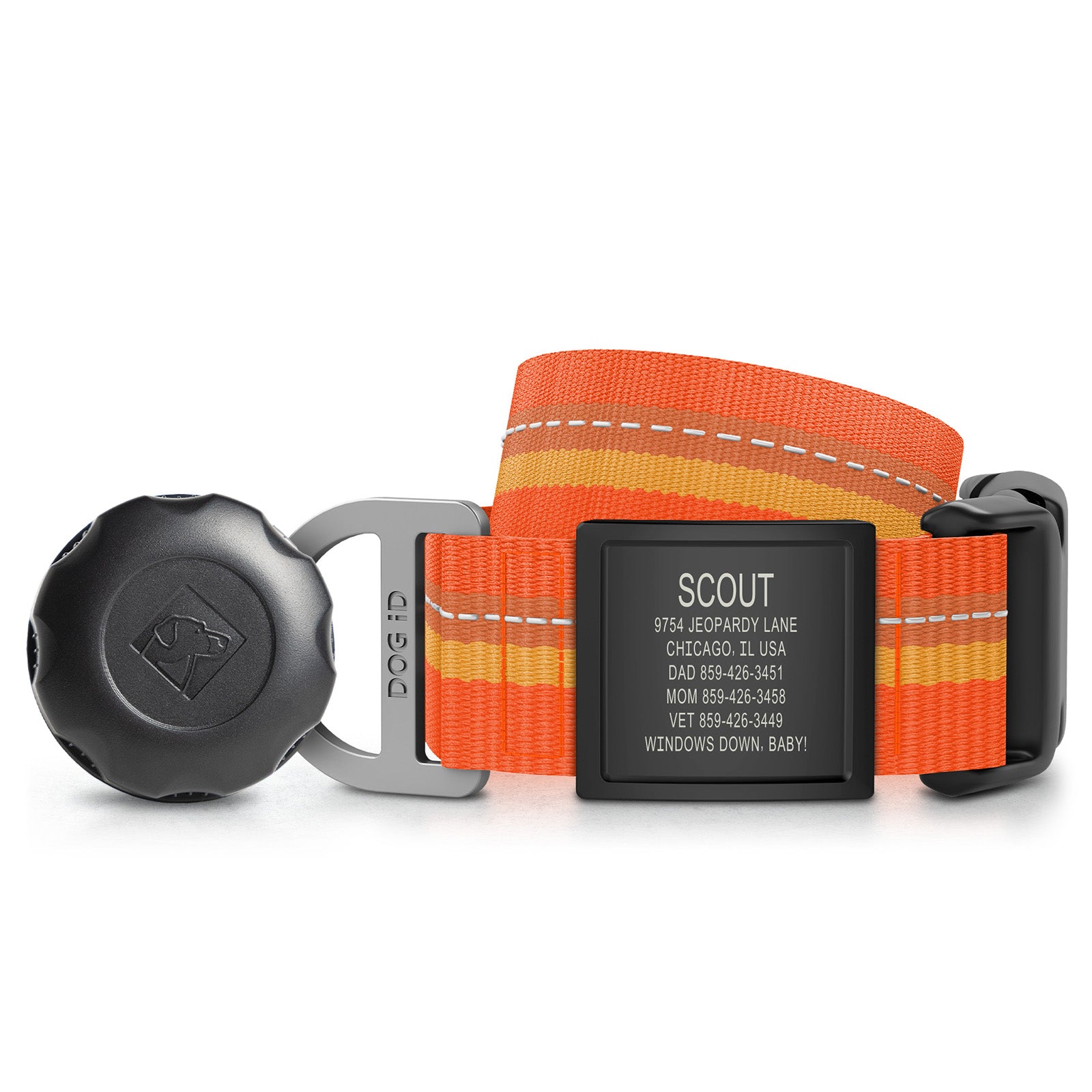 AirTag Holder + Collar + ID