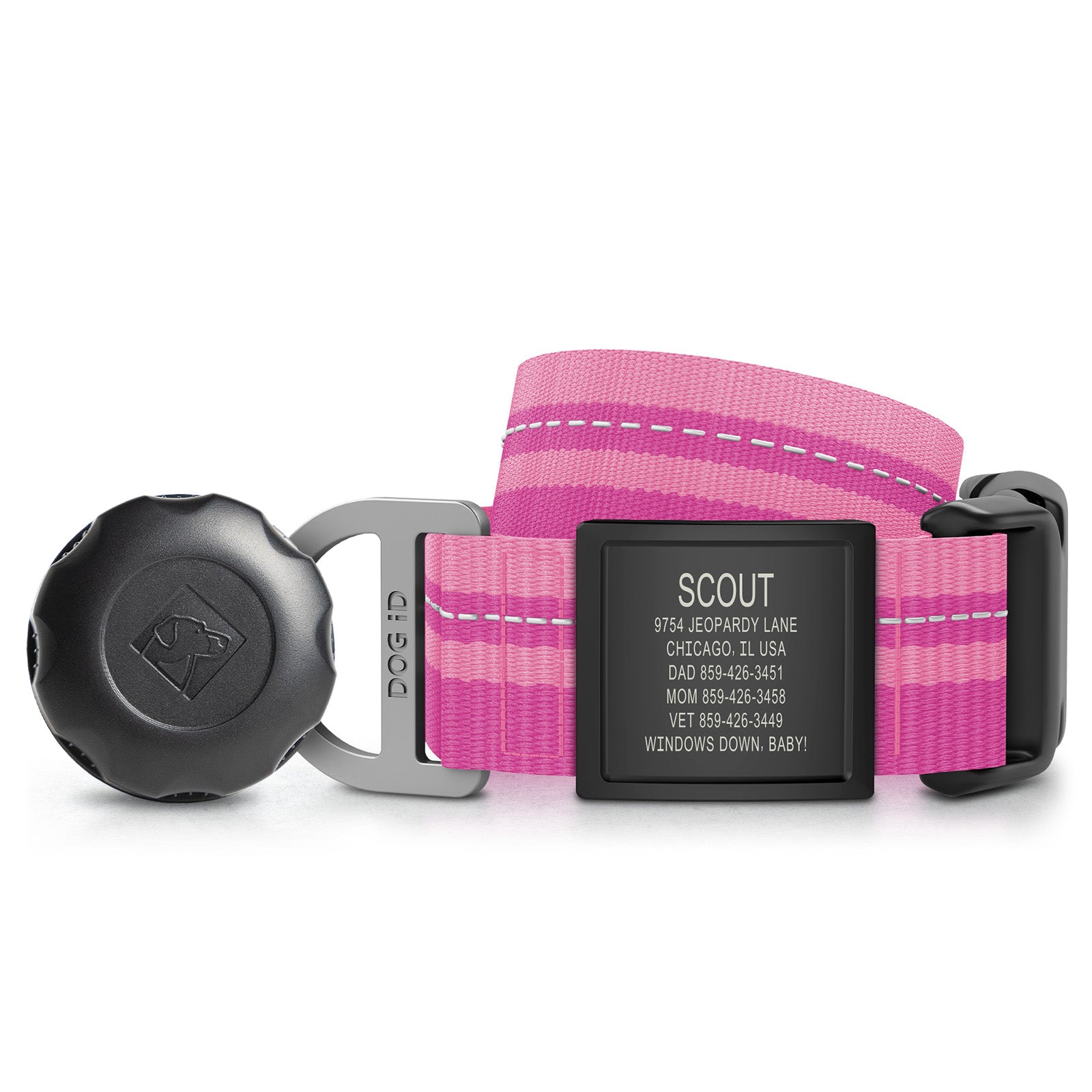 AirTag Holder + Collar + ID