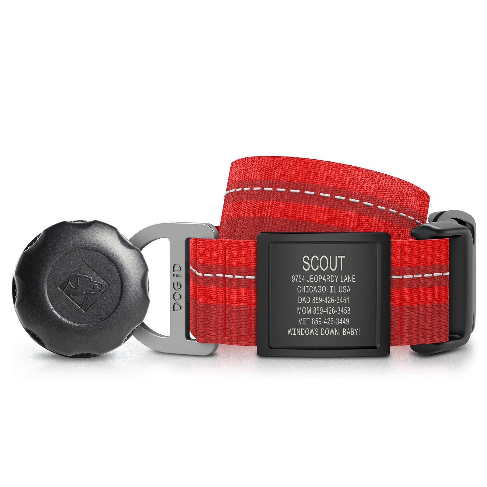AirTag Holder + Collar + ID