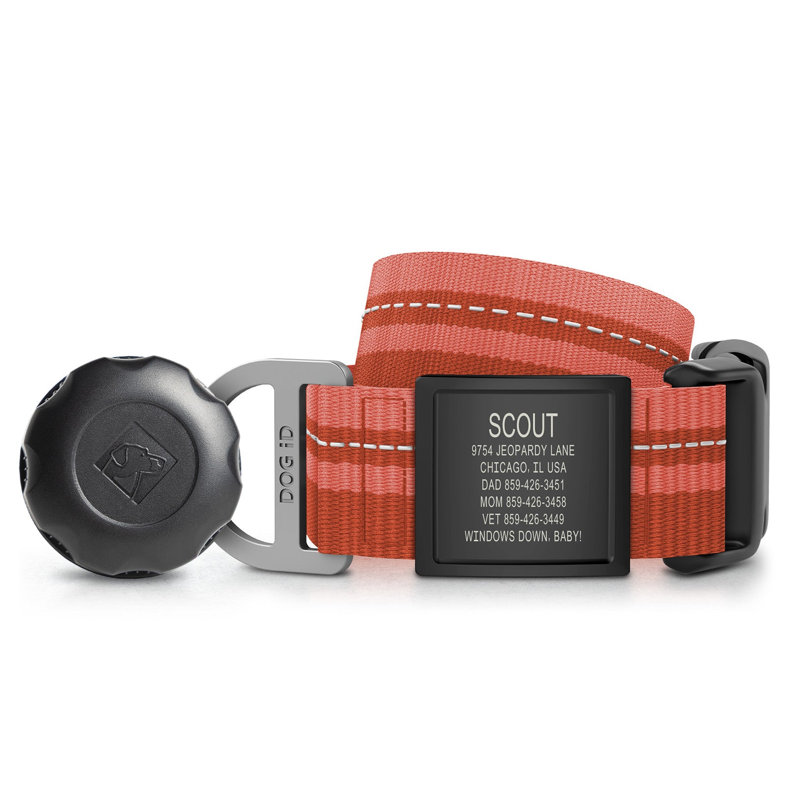AirTag Holder + Collar + ID