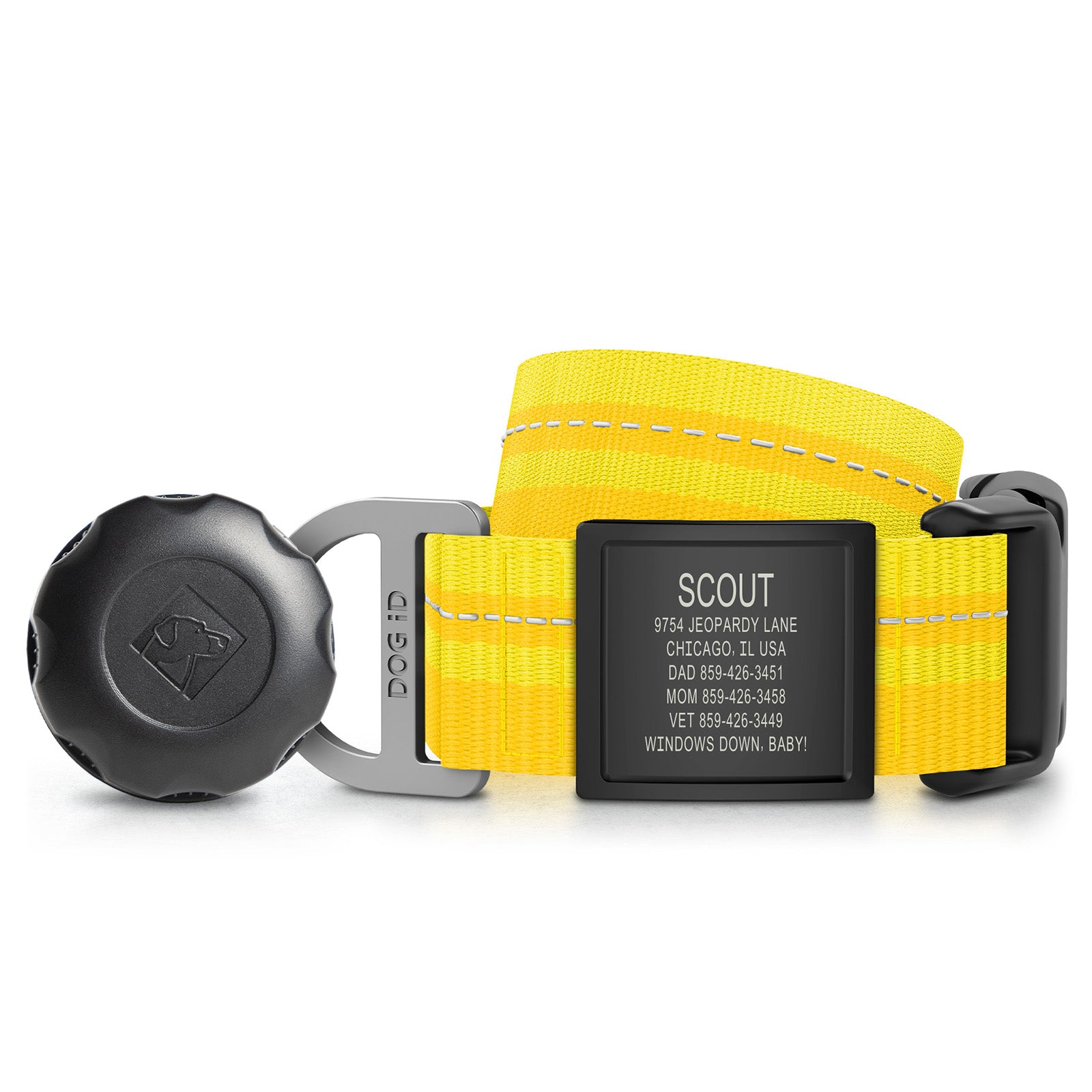 AirTag Holder + Collar + ID