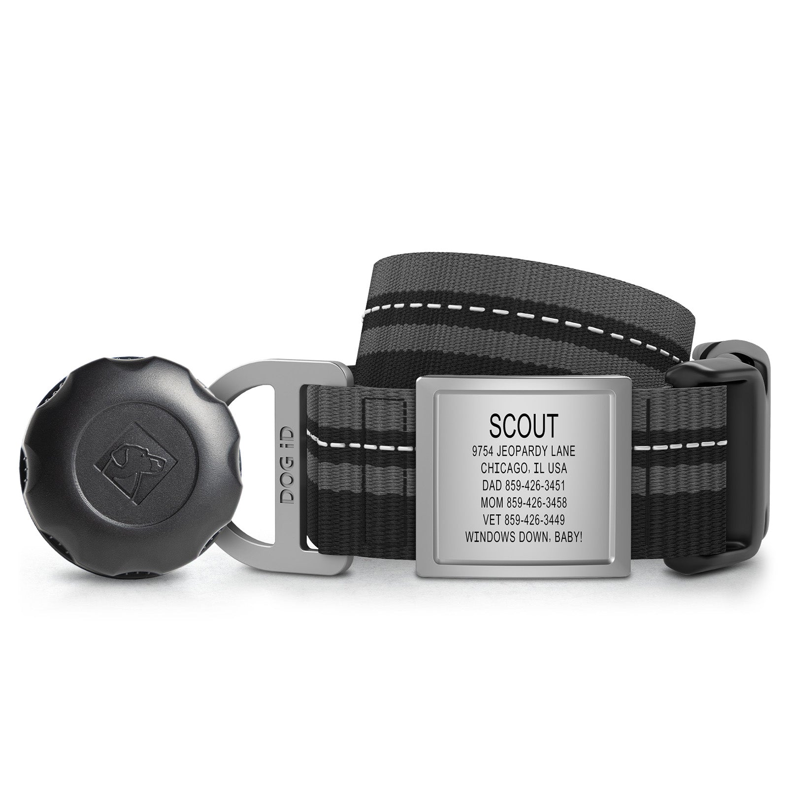 AirTag Holder + Collar + ID