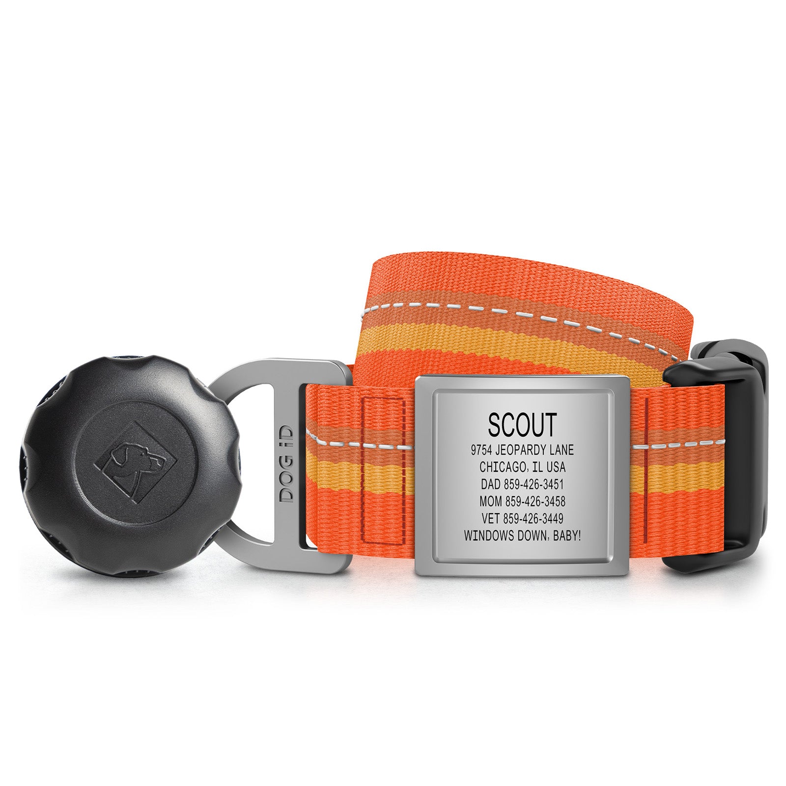 AirTag Holder + Collar + ID
