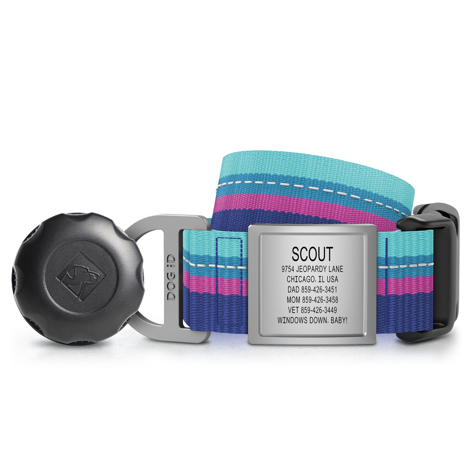 AirTag Holder + Collar + ID