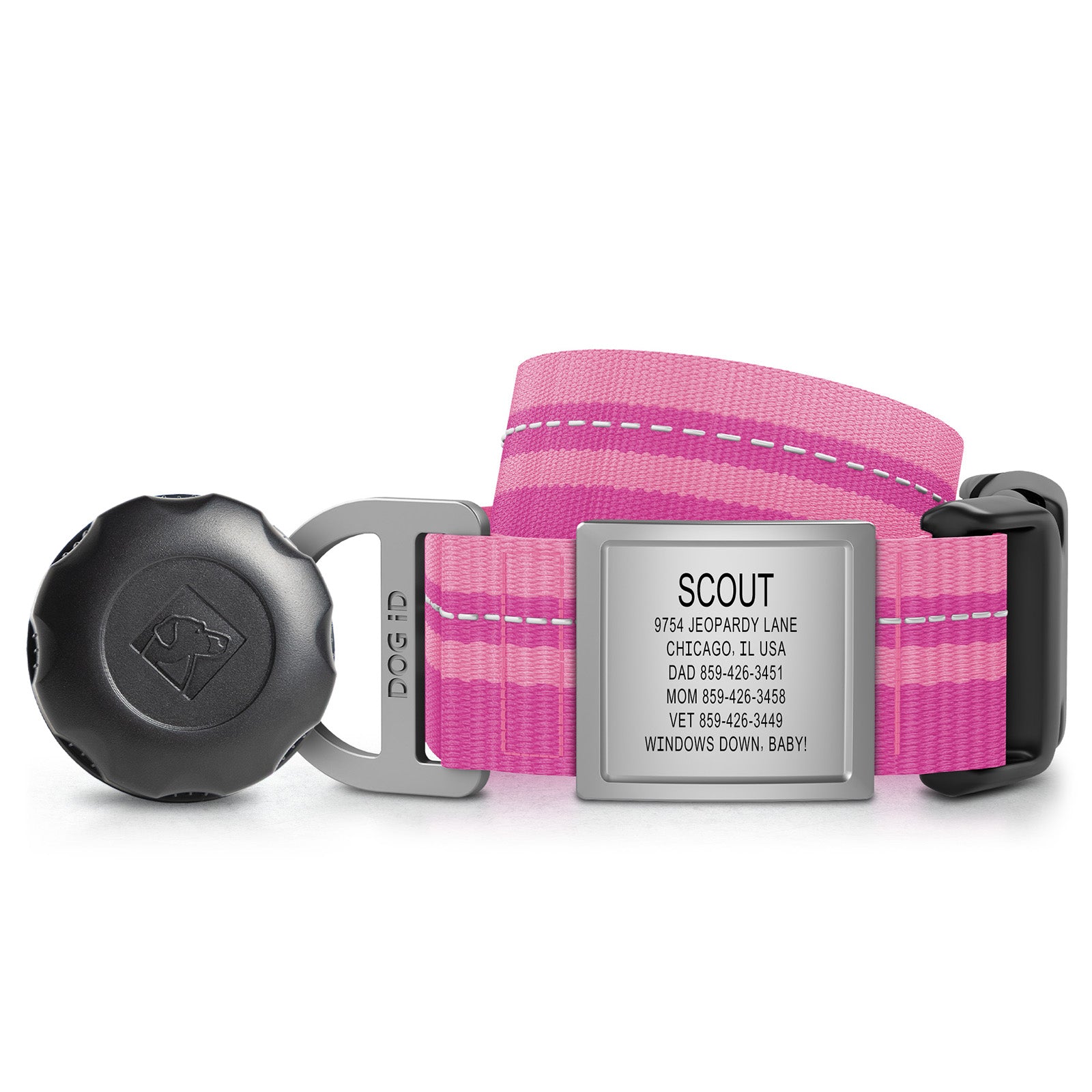AirTag Holder + Collar + ID