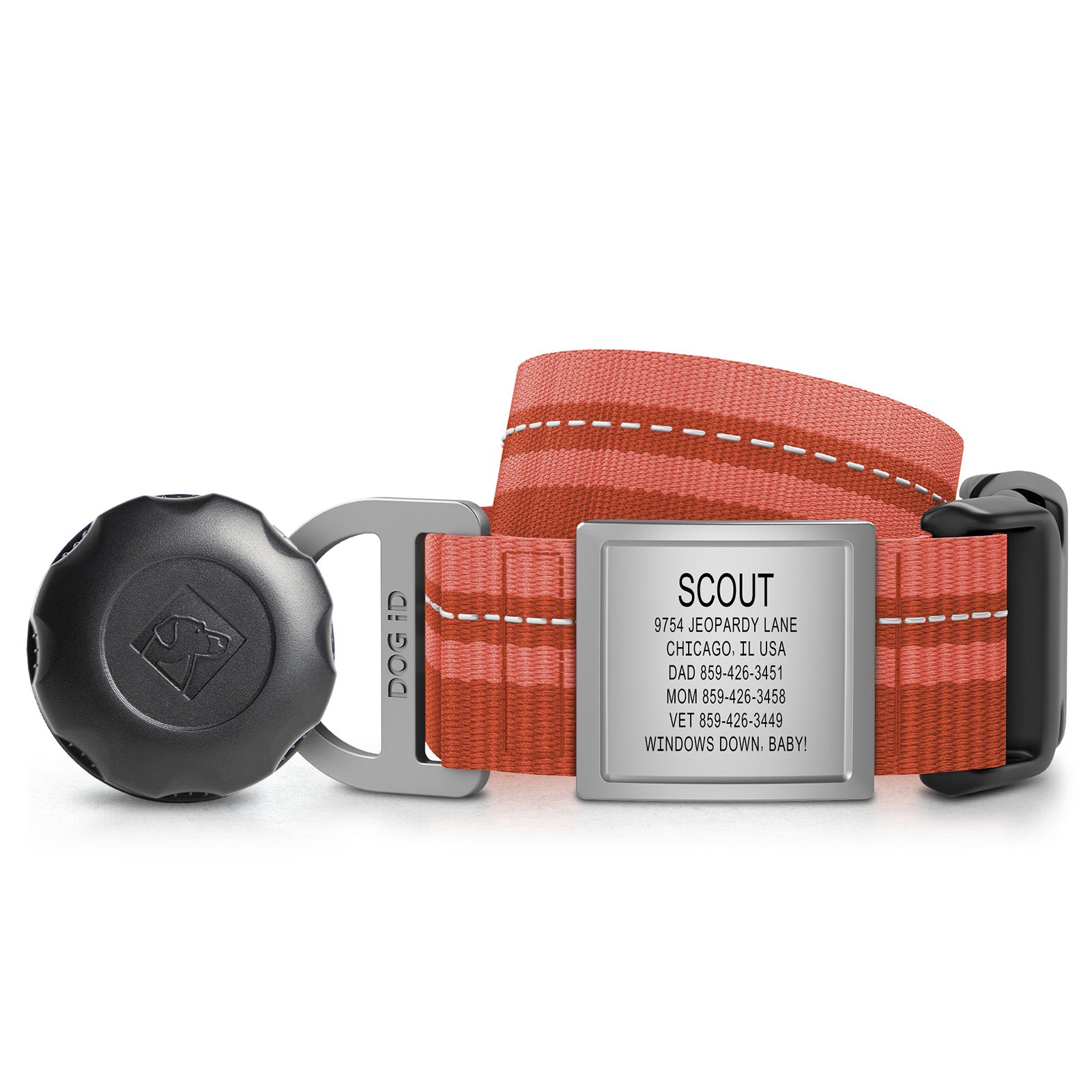 AirTag Holder + Collar + ID