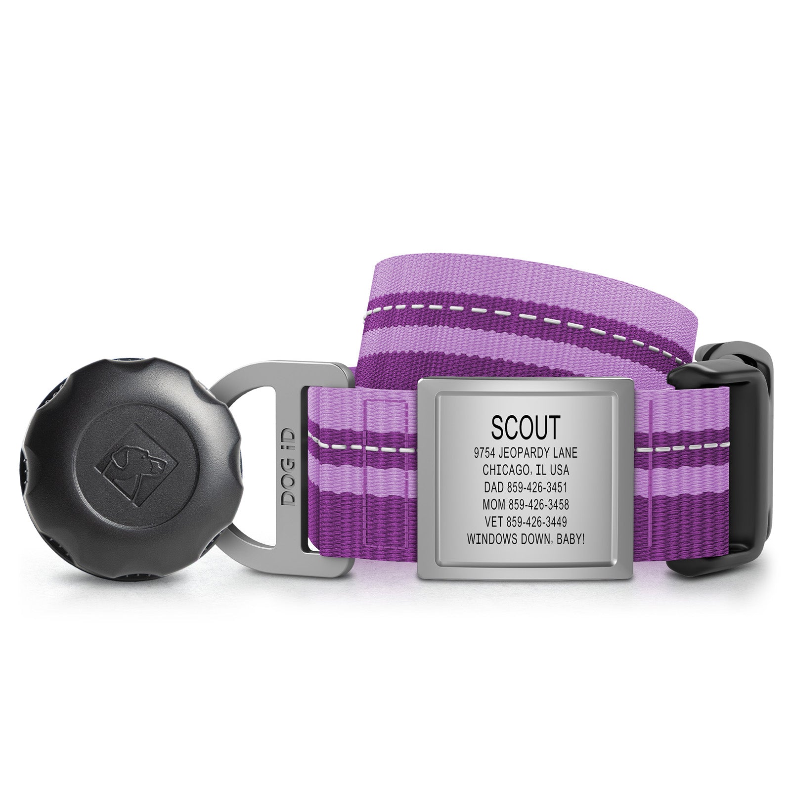 AirTag Holder + Collar + ID
