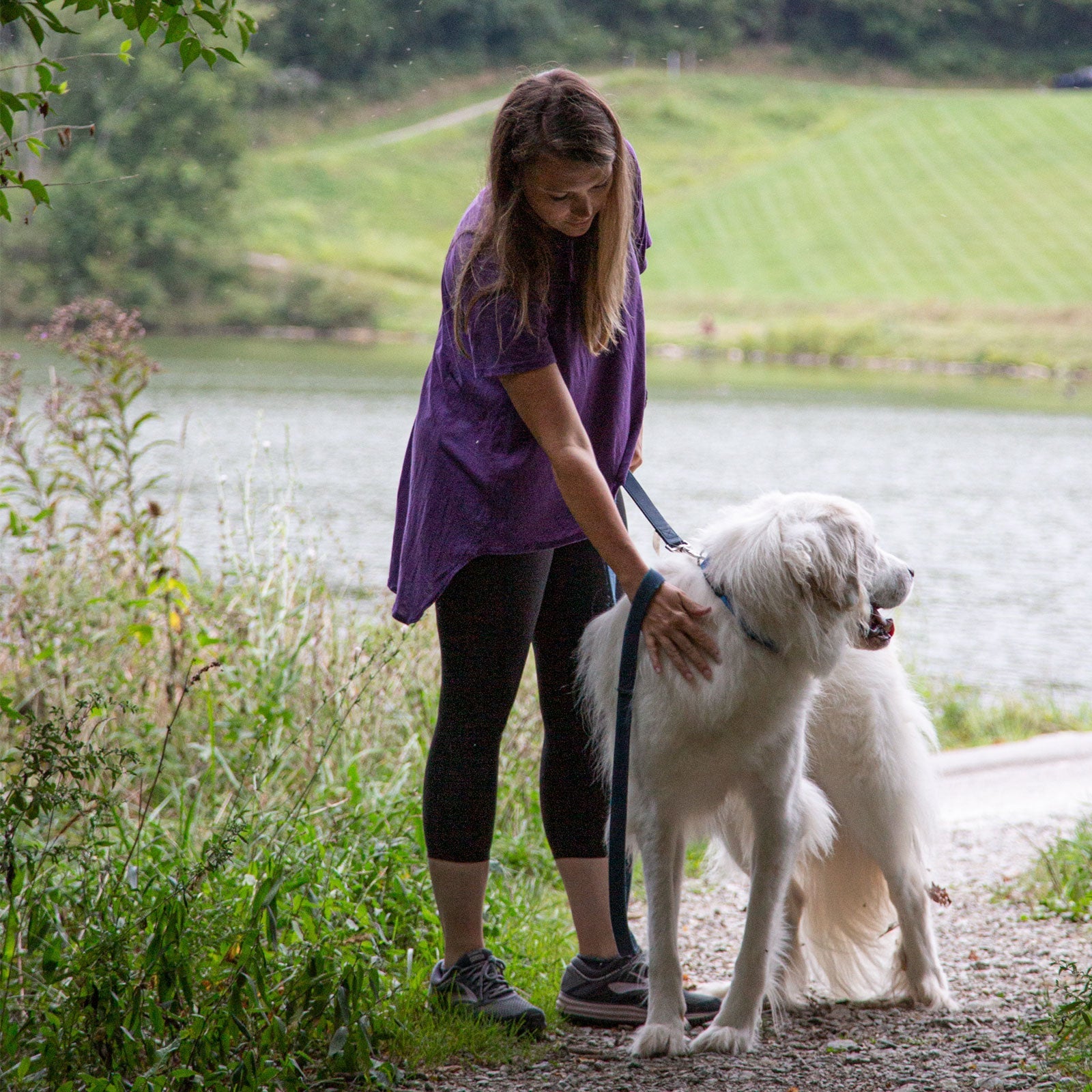 Rock Solid Collar Accessory Collar