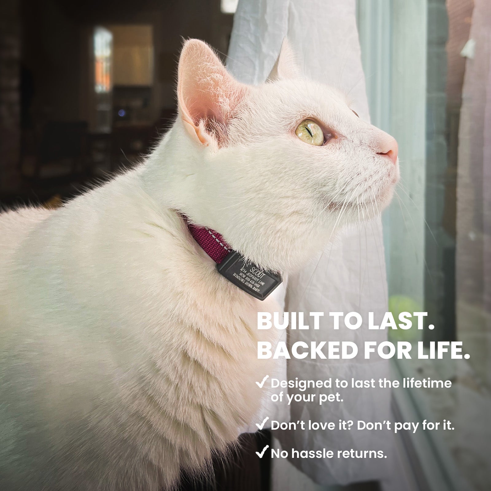 Cat ID 2 ID