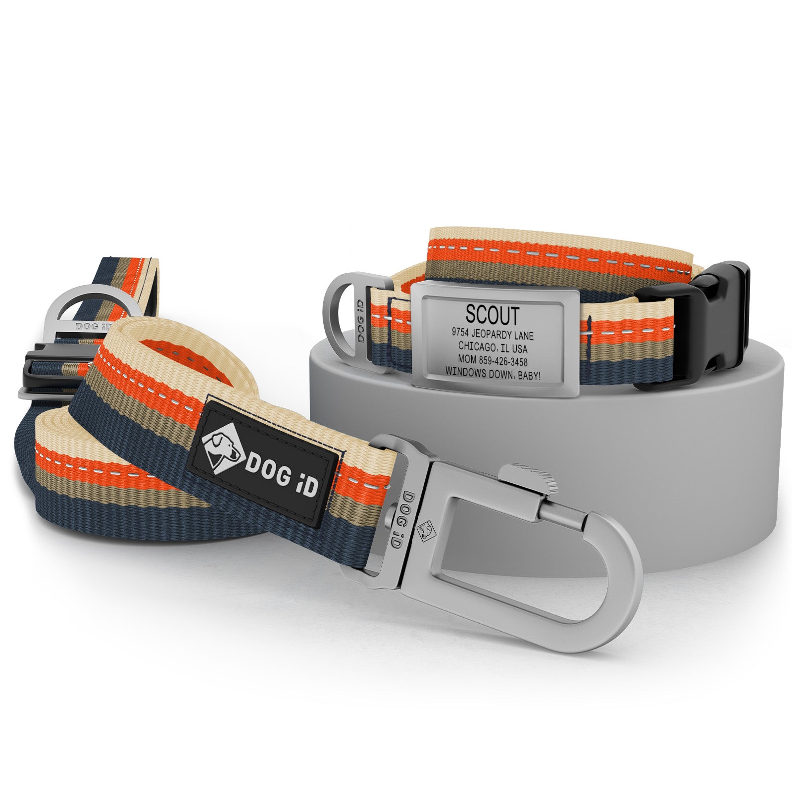 Collar + ID + Leash