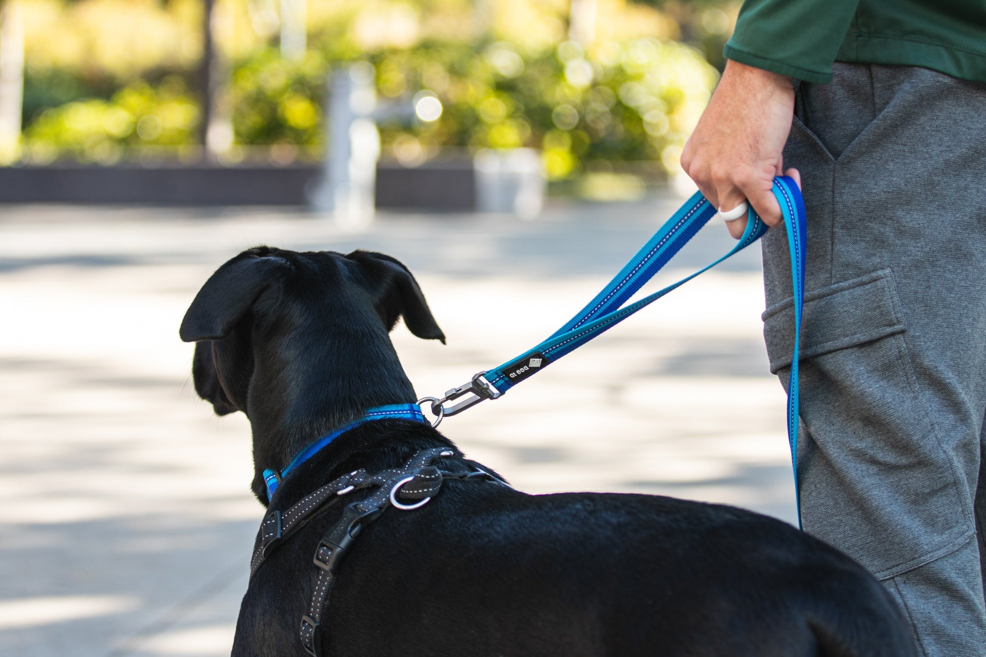 Legendary Leash Accessory Leash
